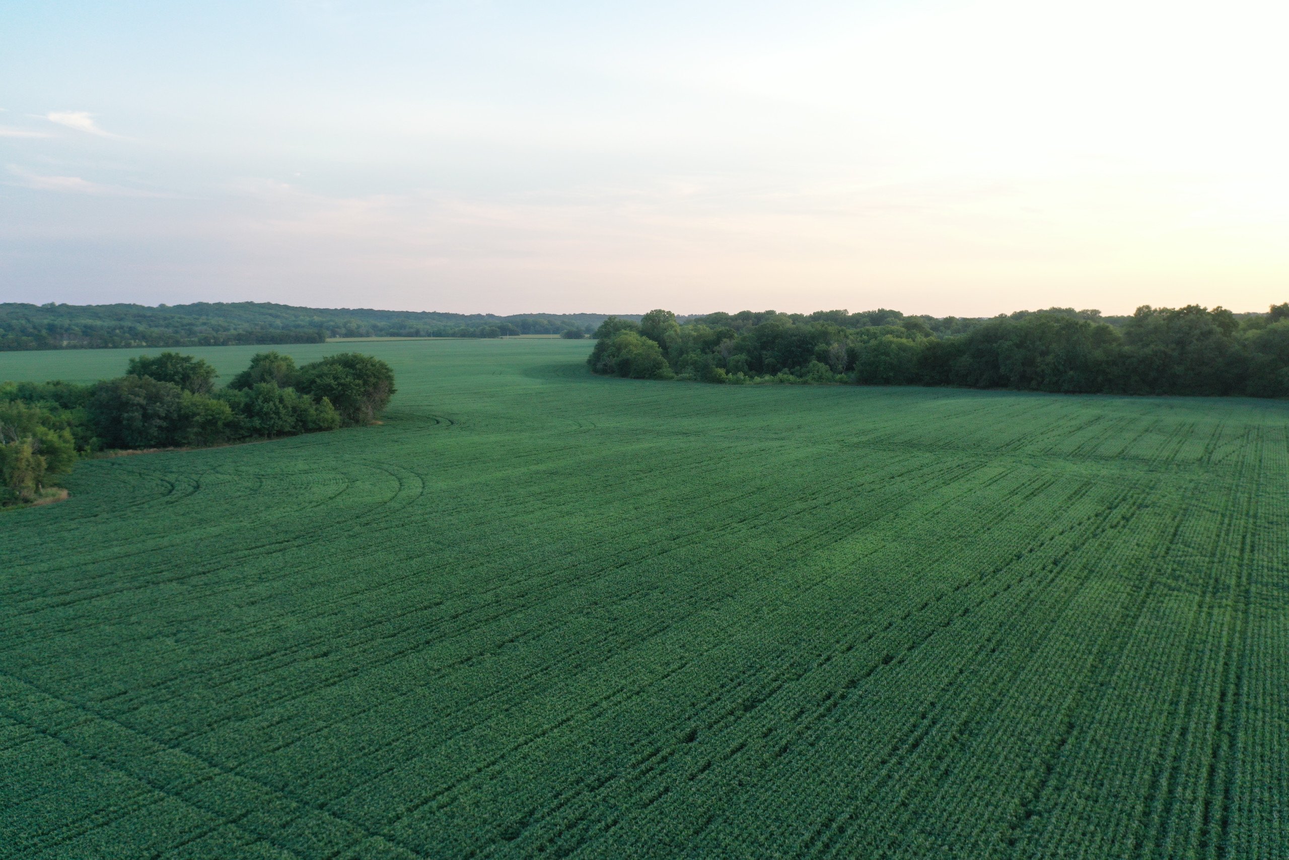 2-bevington-park-road-s-warren-avenue-bevnington-50033-DJI_0537-3.jpg