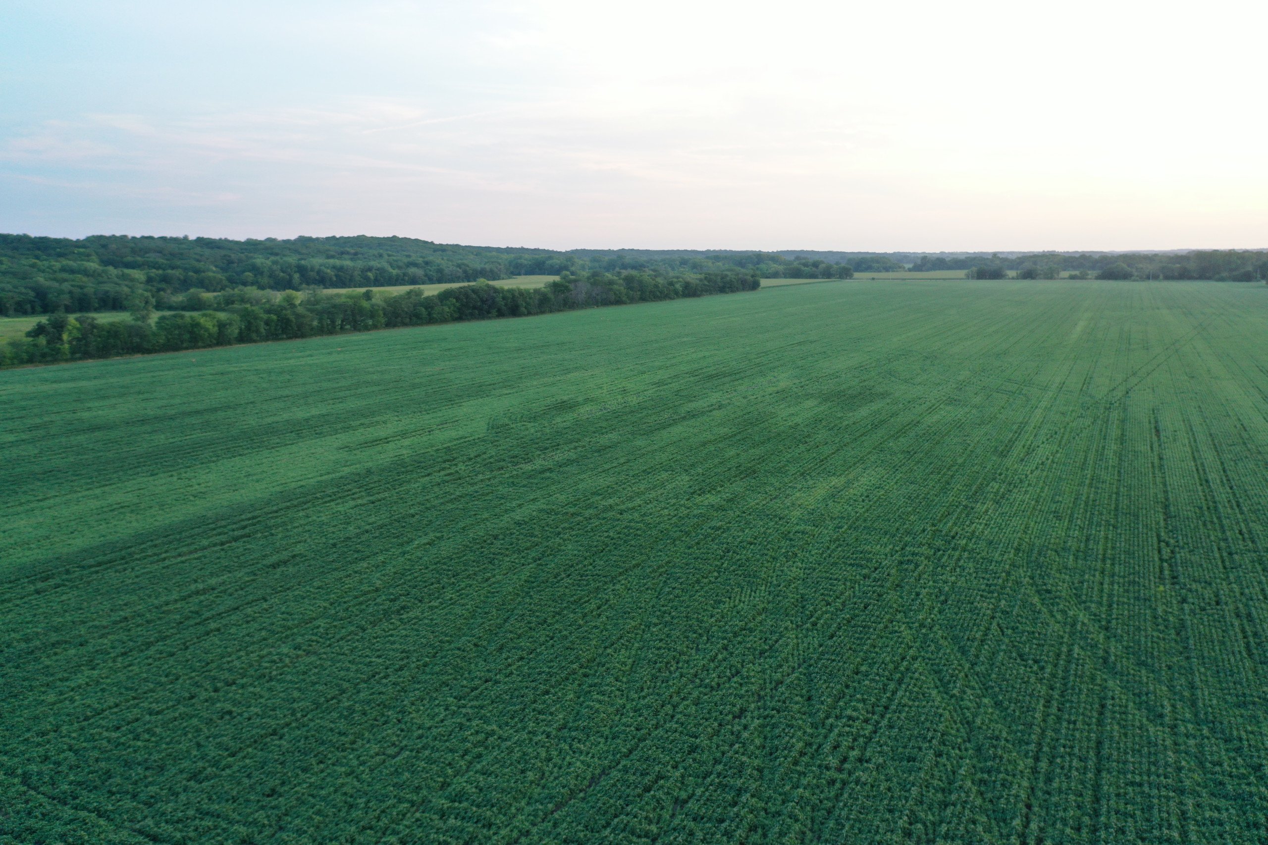 2-bevington-park-road-s-warren-avenue-bevnington-50033-DJI_0585-6.jpg