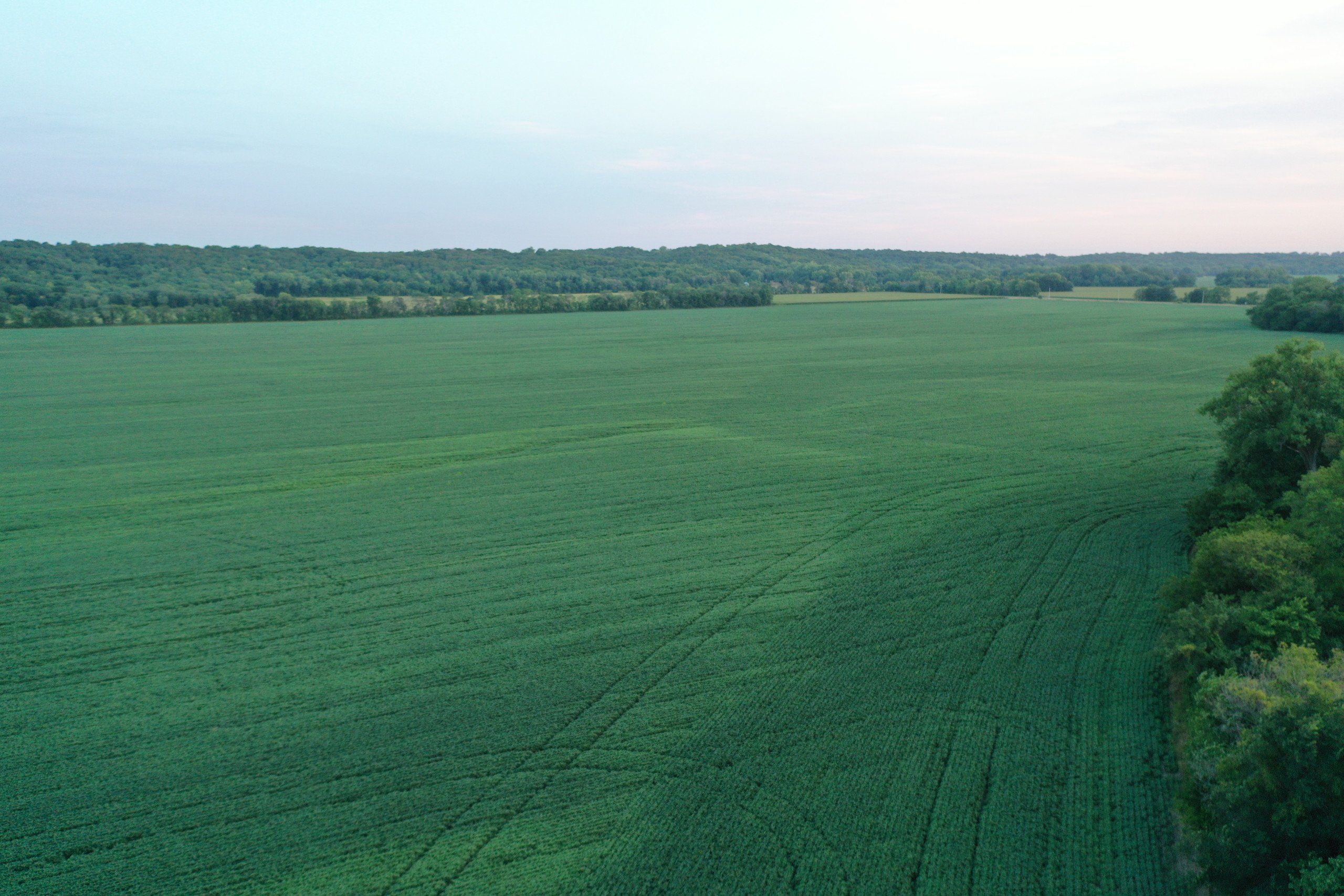 2-bevington-park-road-s-warren-avenue-bevnington-50033-DJI_0600-2.jpg