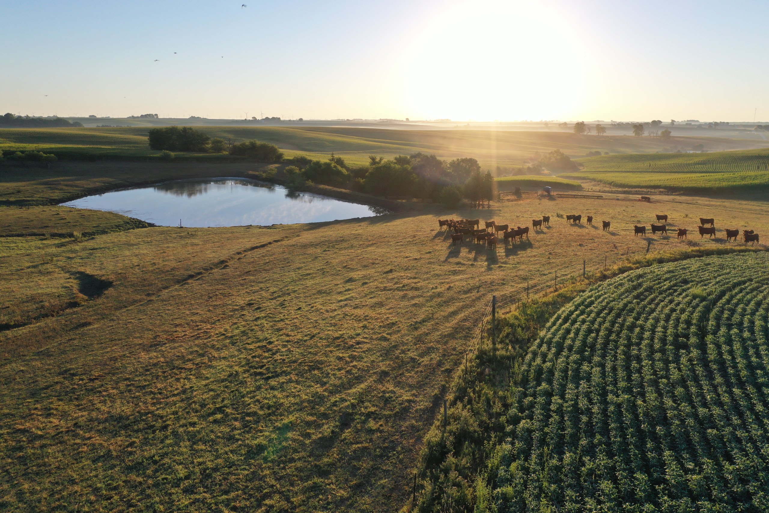 Adair County Iowa Farmland For Sale