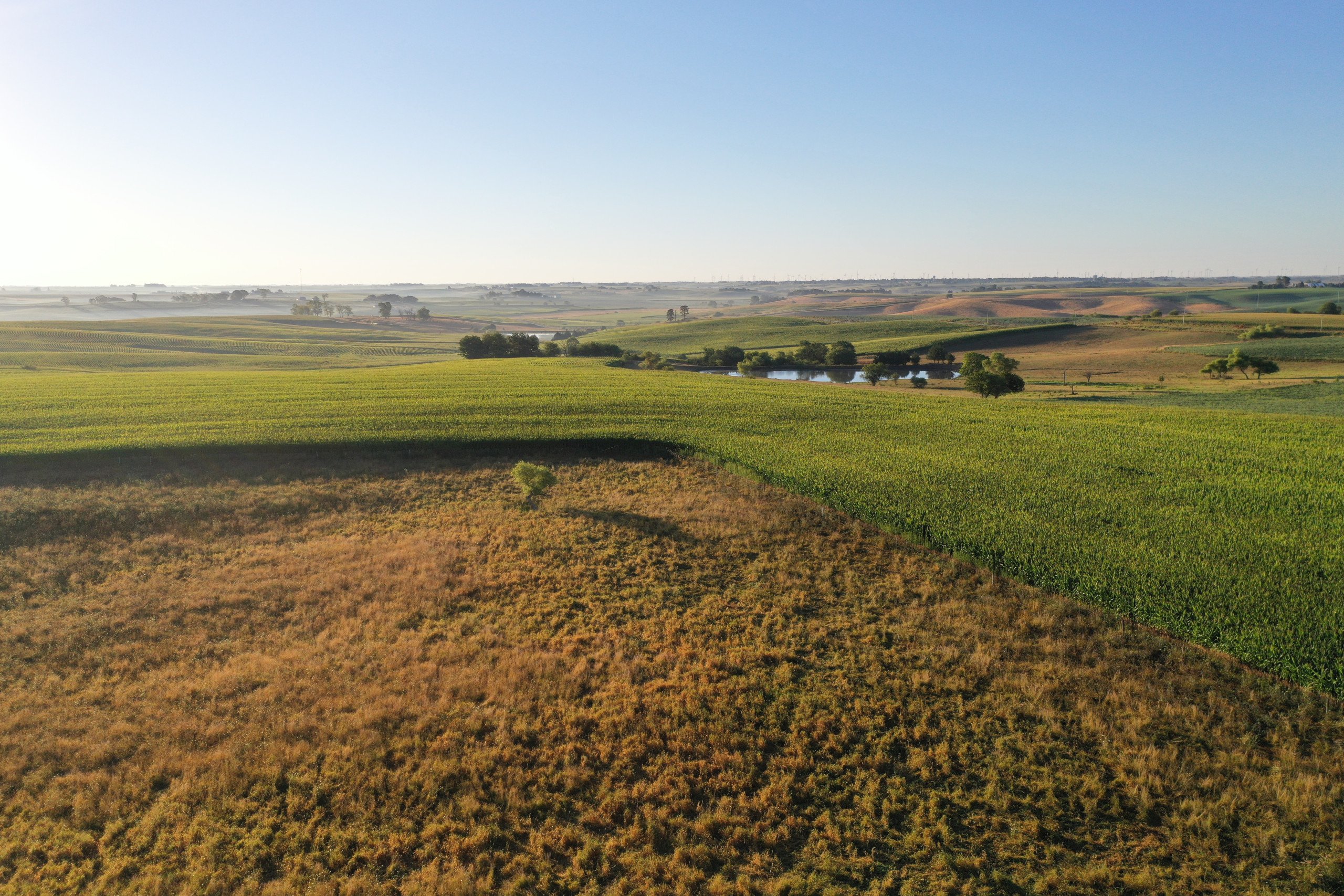 Adair County Iowa Farmland For Sale