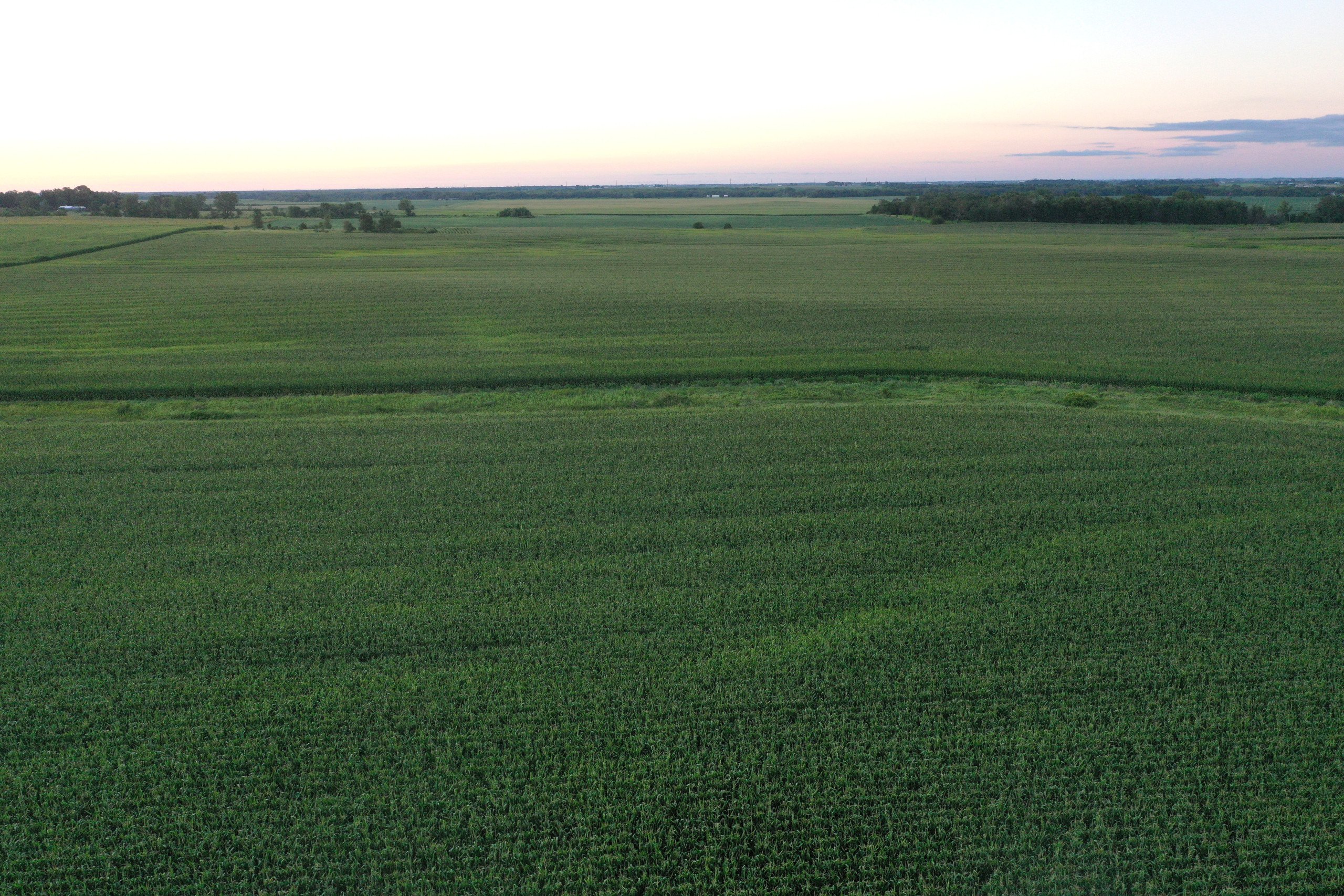 land-black-hawk-county-iowa-117-acres-listing-number-16353-DJI_0993-0.jpg