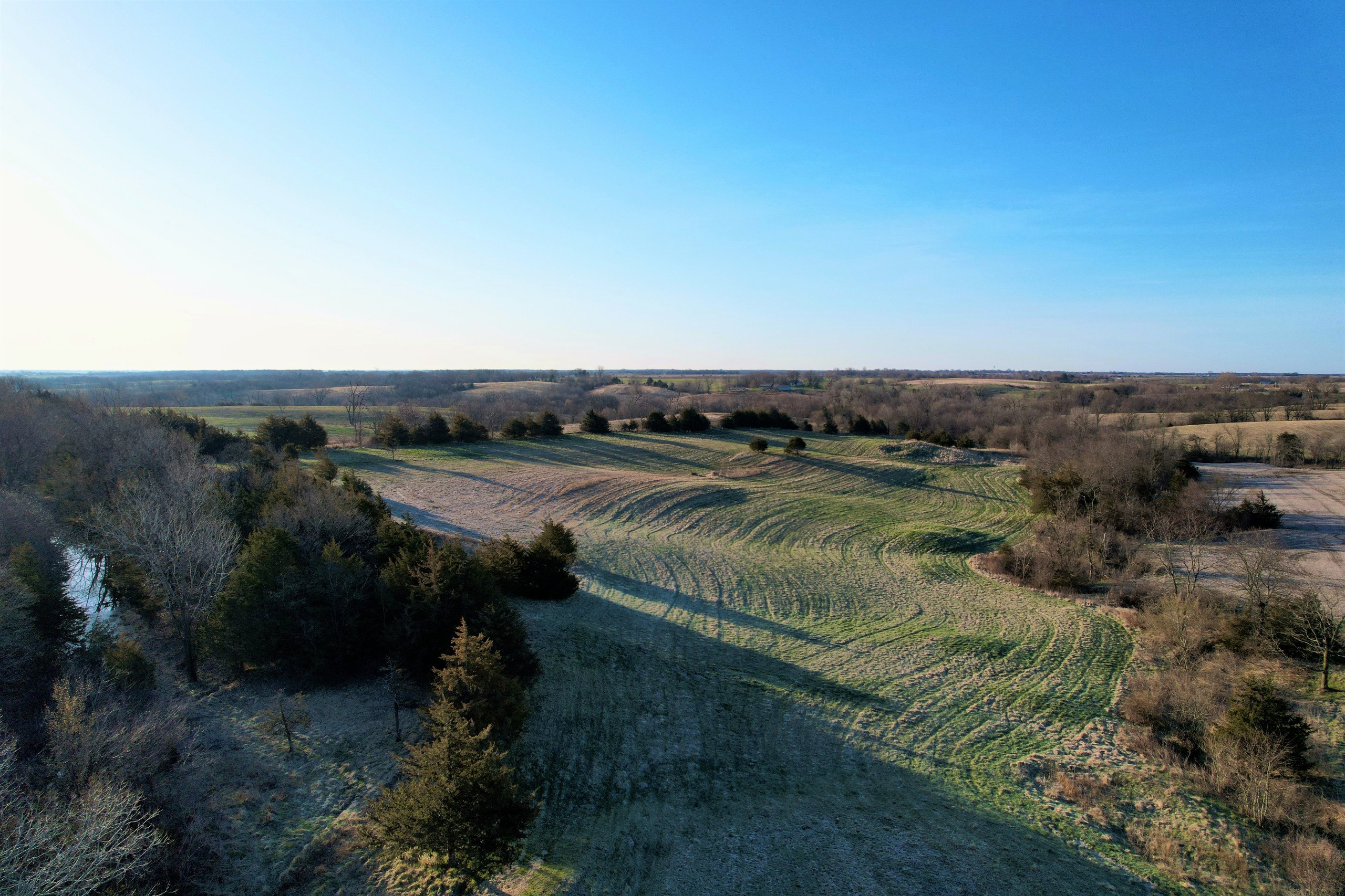 appanoose-county-iowa-97-acres-listing-number-16357-Copy of Copy of DJI_0274-6.jpg
