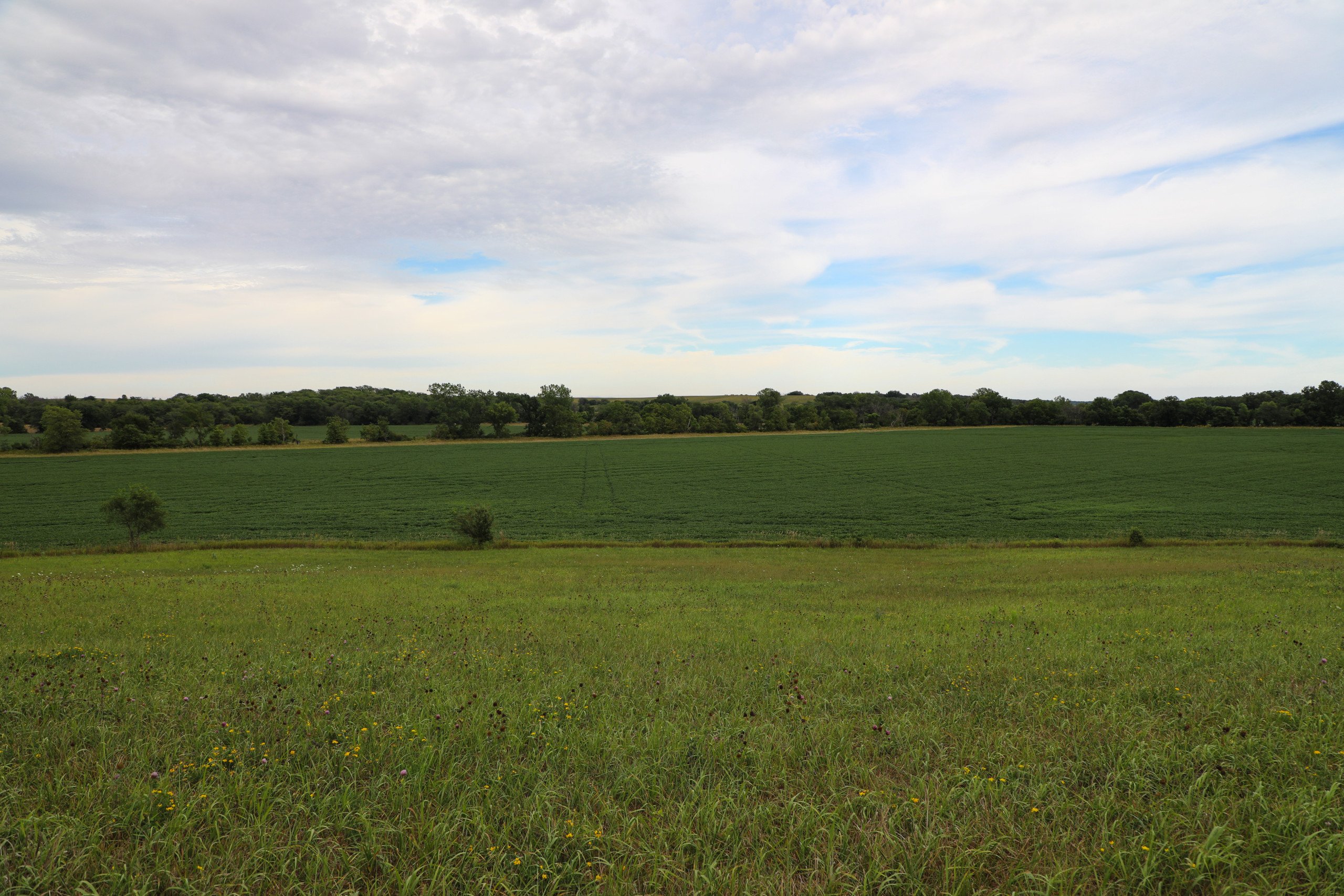 4-corydon-50060-Peoples_Company_Wayne_County_Iowa_Land_Auction_16367-6-0.jpg