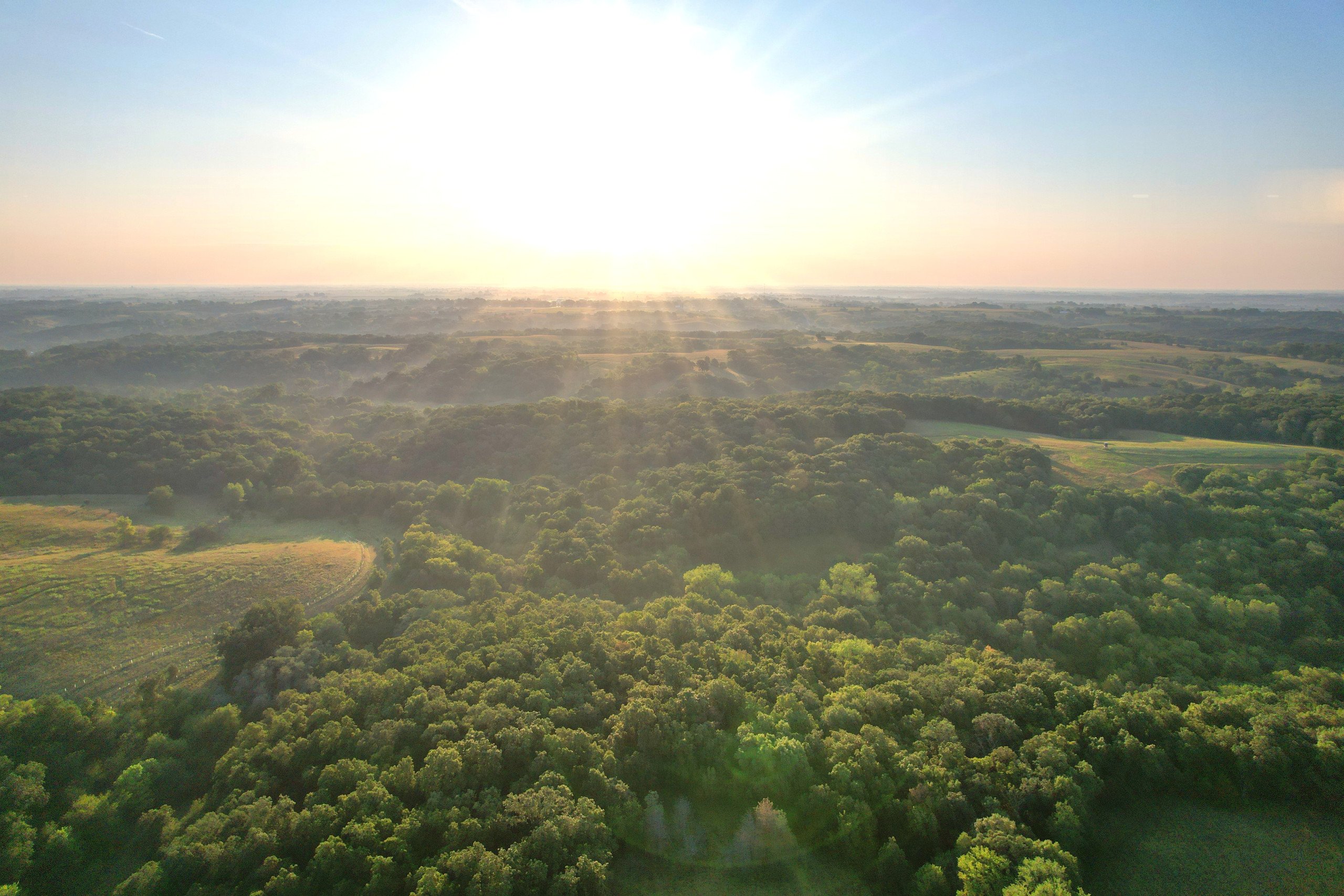 land-madison-county-iowa-99-acres-listing-number-16368-Edited Drones 1DJI_0054-5.jpg