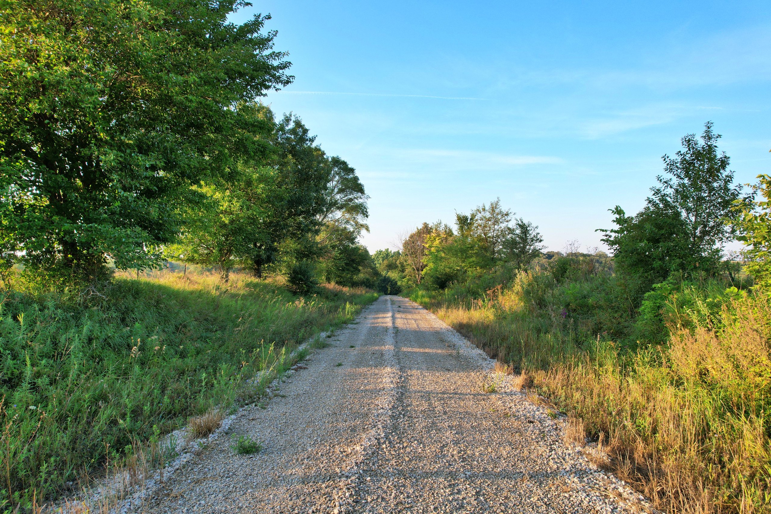 land-madison-county-iowa-99-acres-listing-number-16368-Edited Drones 1DJI_0098-3.jpg