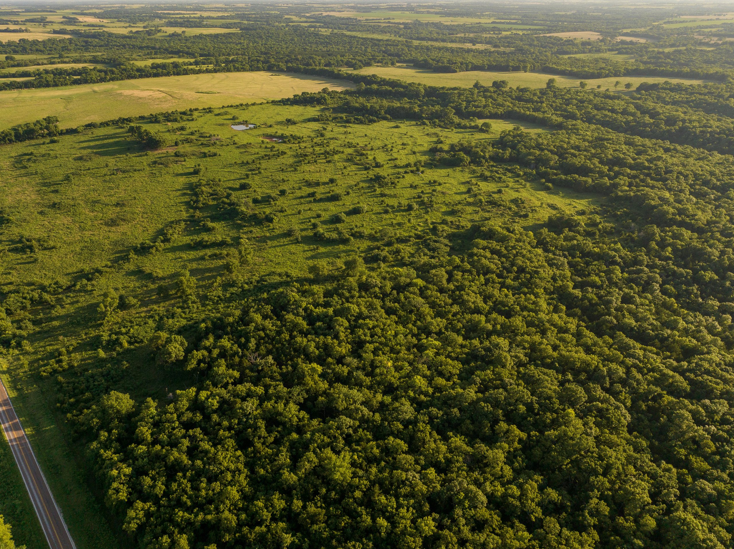 Listing 16370 Peoples Company