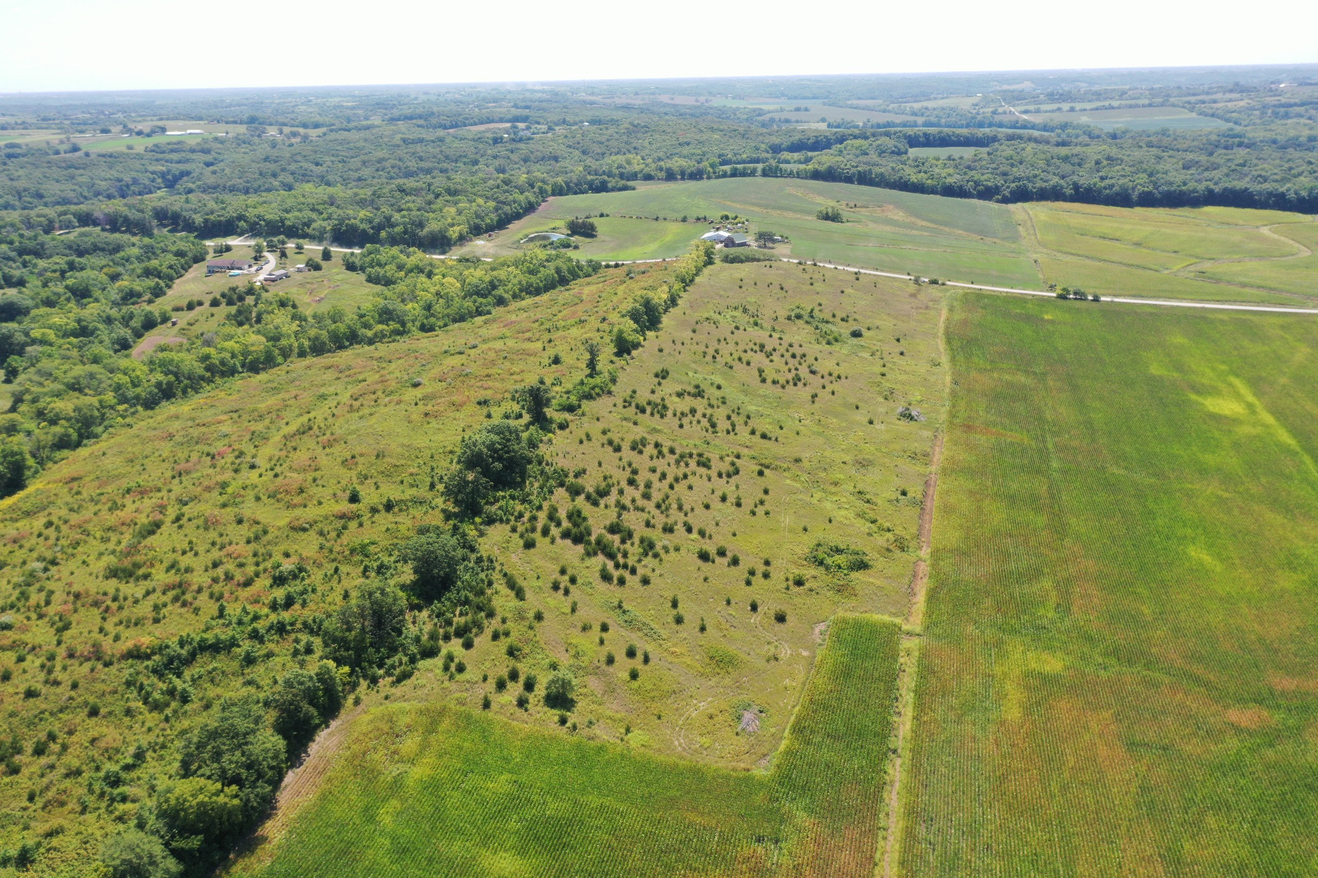 land-warren-county-iowa-13-acres-listing-number-16380-DJI_0736-0.jpg