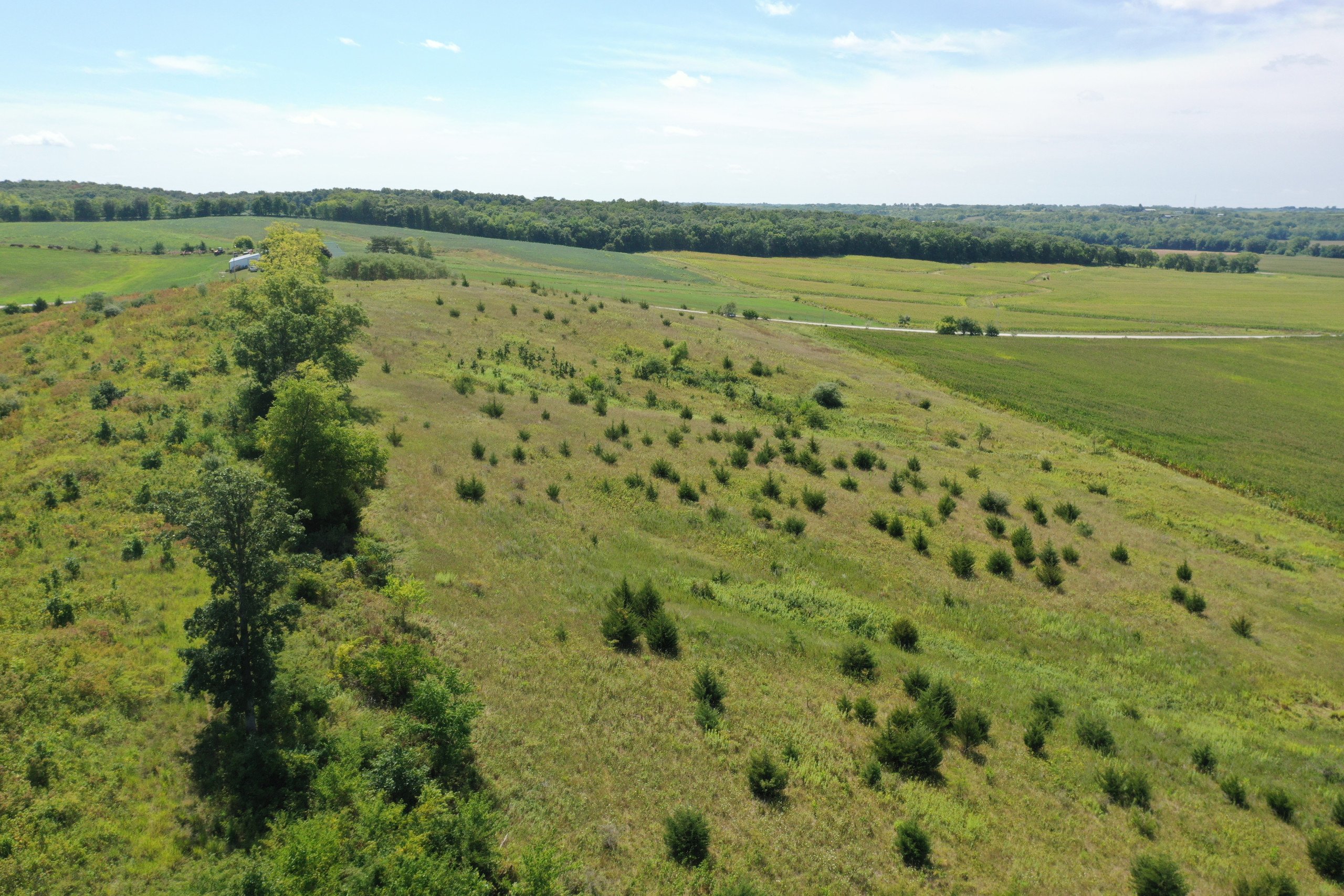 land-warren-county-iowa-13-acres-listing-number-16380-DJI_0755-2.jpg