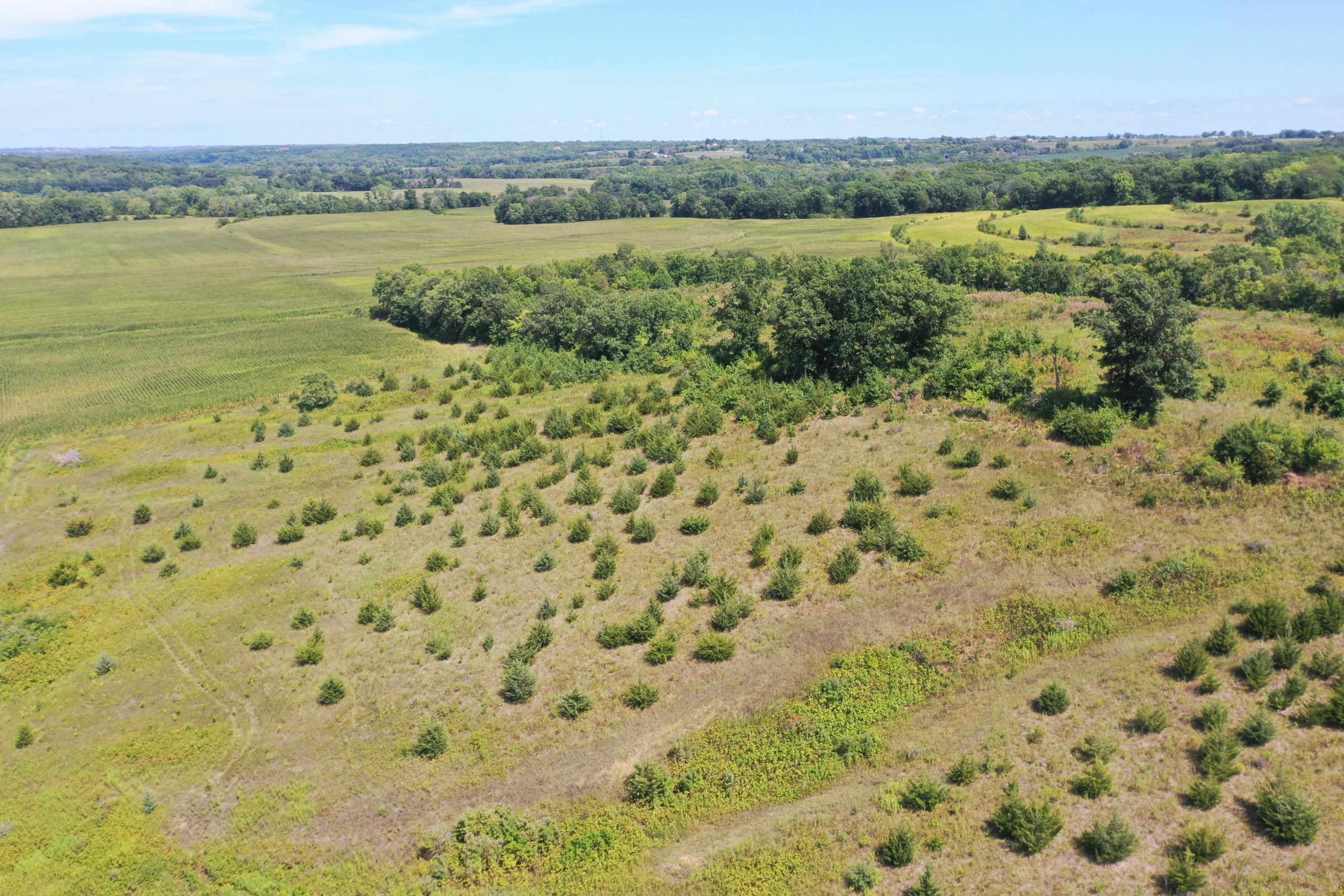 land-warren-county-iowa-13-acres-listing-number-16380-DJI_0757-4.jpg