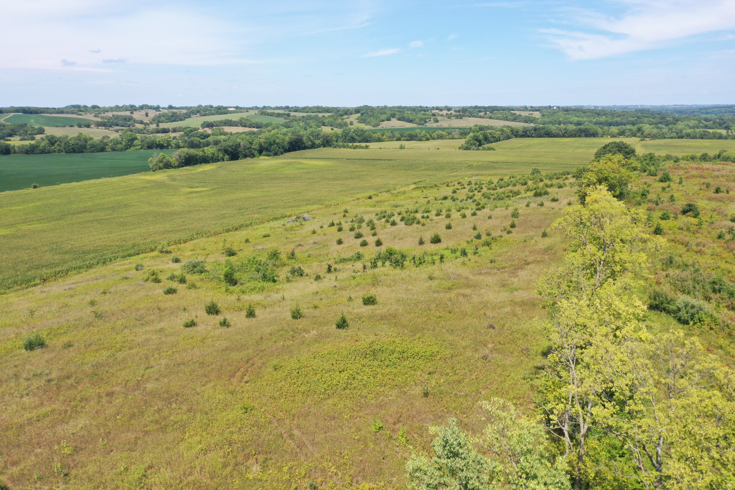 land-warren-county-iowa-13-acres-listing-number-16380-DJI_0762-3.jpg