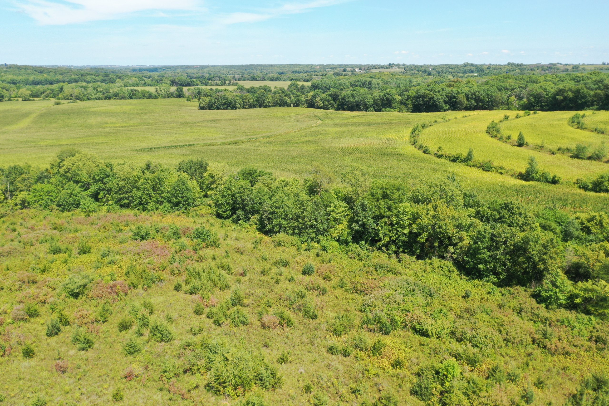 land-warren-county-iowa-21-acres-listing-number-16381-DJI_0754-2.jpg