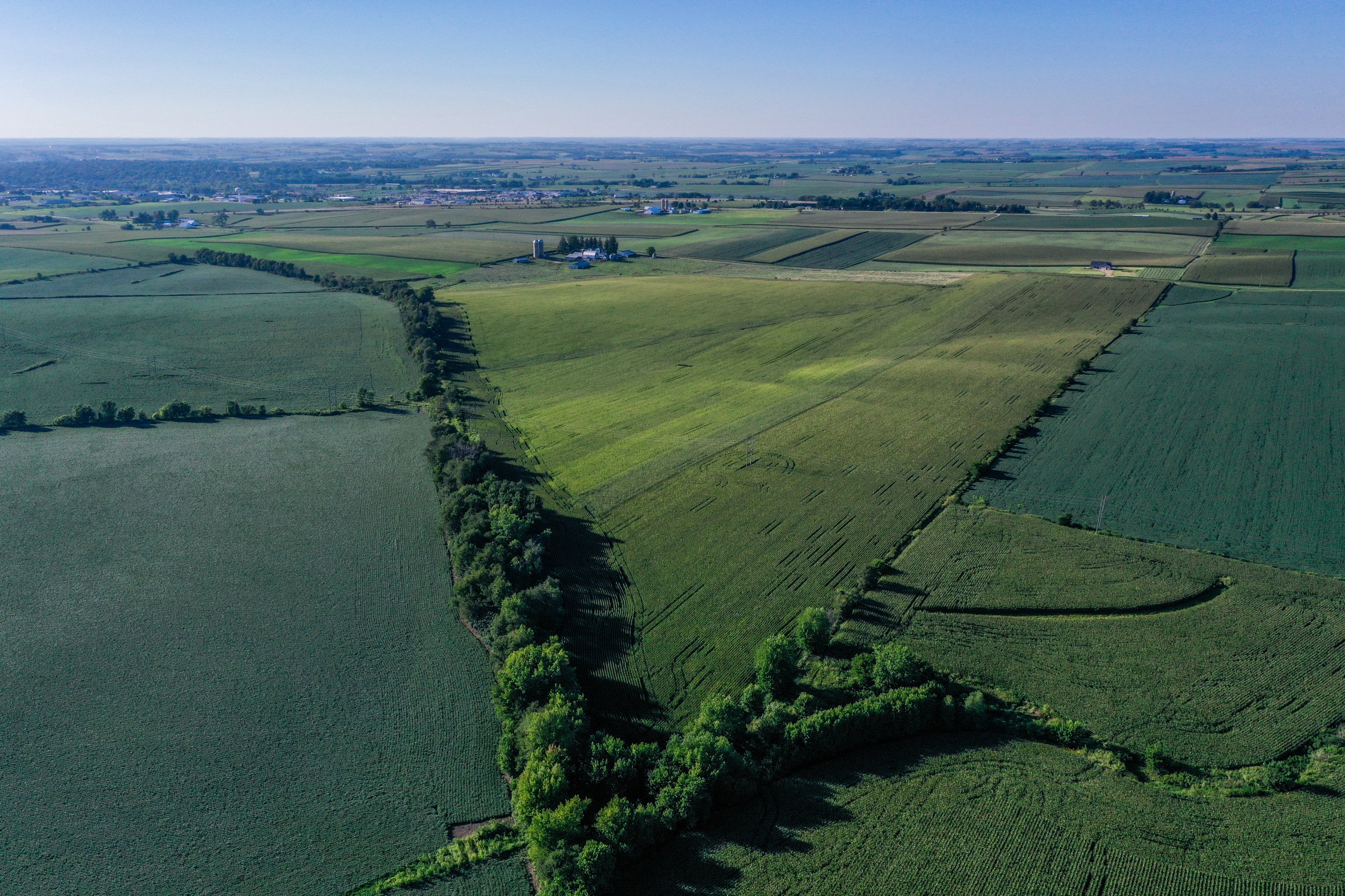 auctions-land-lafayette-county-wisconsin-142-acres-listing-number-16383-DJI_0202-1.jpg