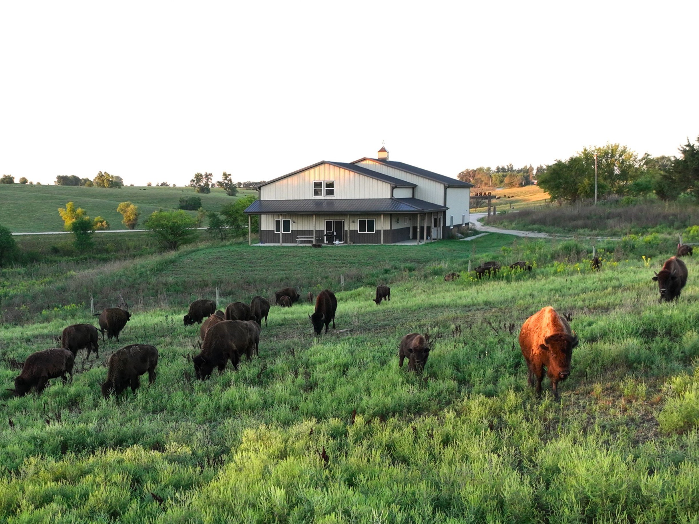 residential-land-warren-county-iowa-148-acres-listing-number-16390-13-0.jpg