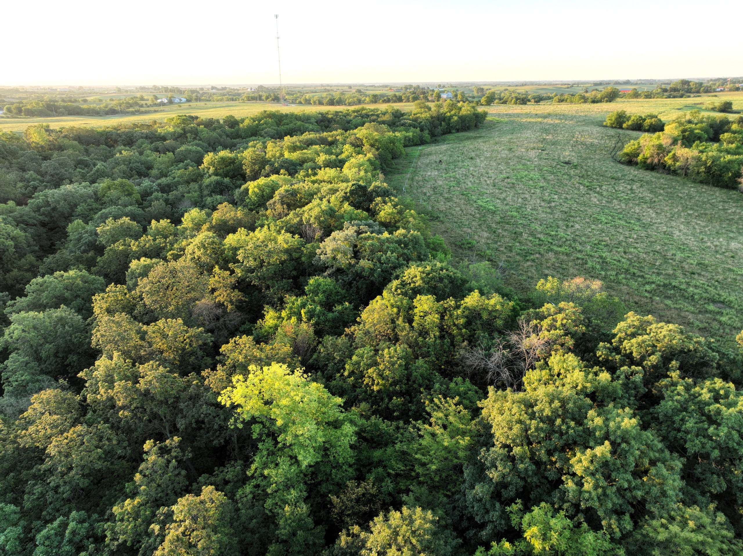 residential-land-warren-county-iowa-148-acres-listing-number-16390-7-2.jpg
