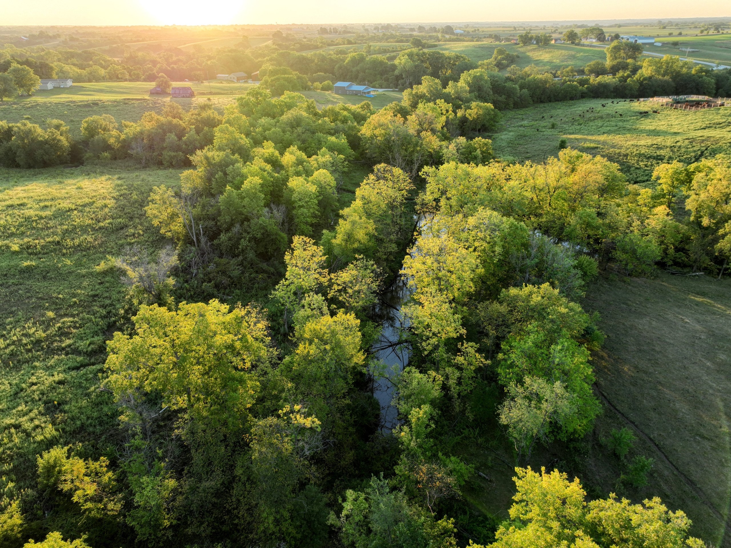 residential-land-warren-county-iowa-148-acres-listing-number-16390-9-0.jpg