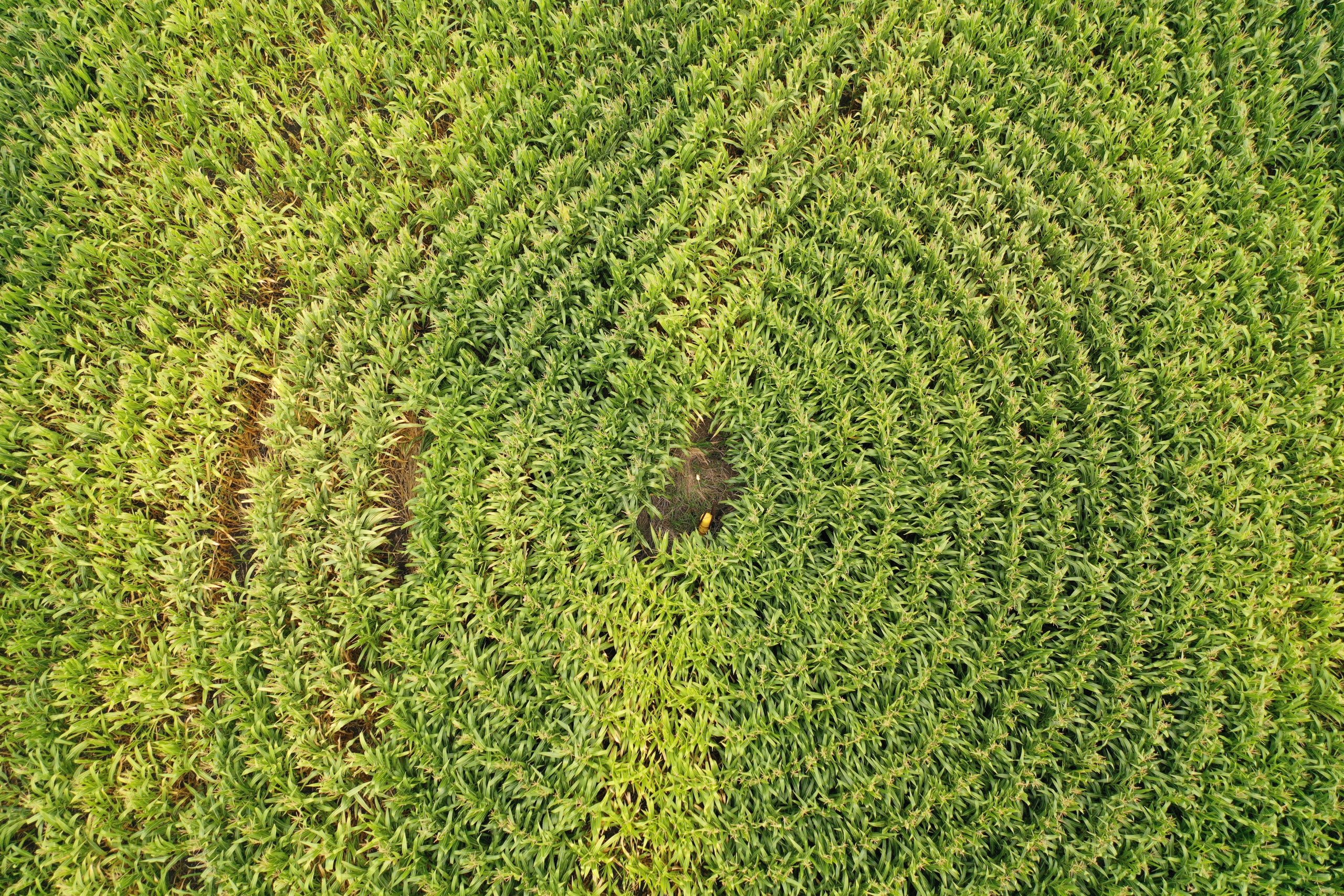 Polk County Iowa Farmland For Sale