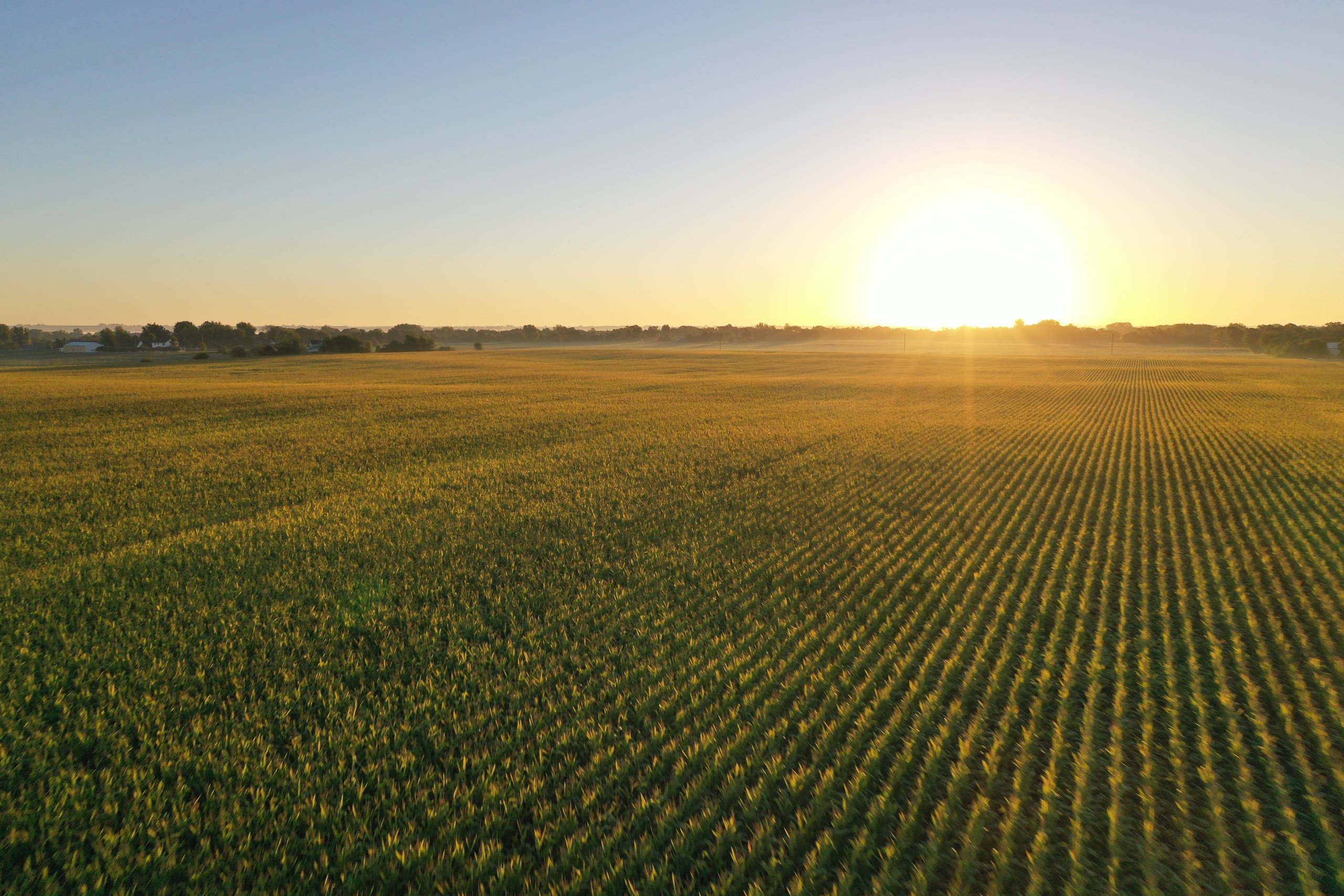 Polk County Iowa Farmland For Sale