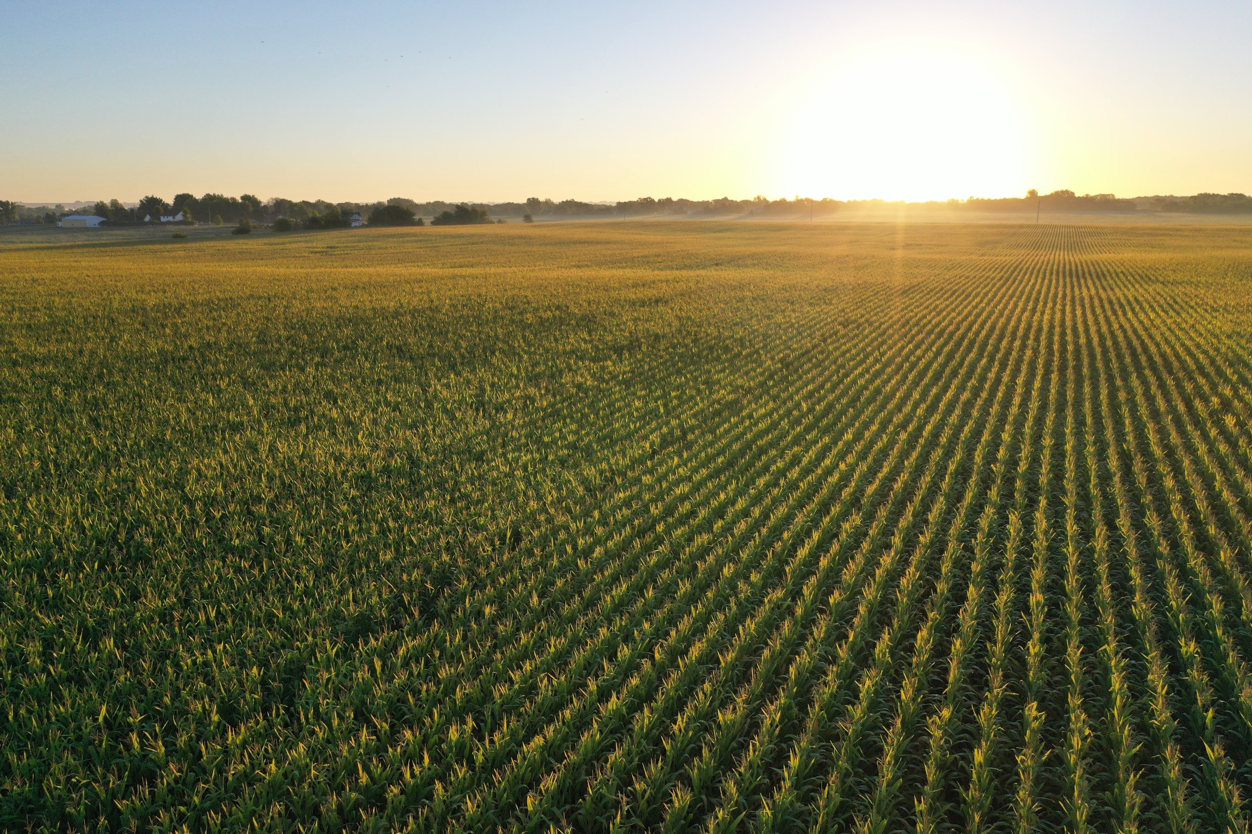 Polk County Iowa Farmland For Sale