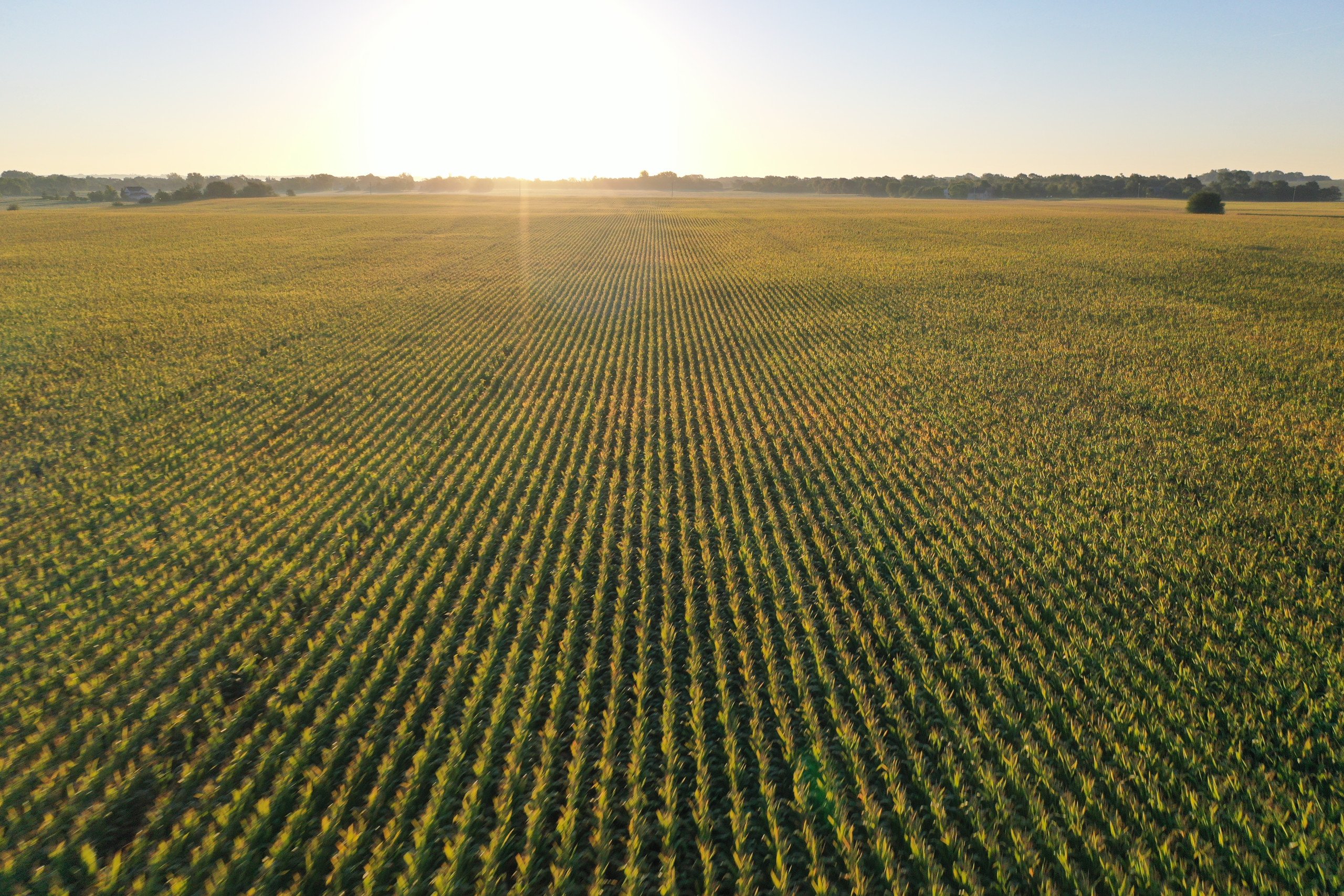 Polk County Iowa Farmland For Sale