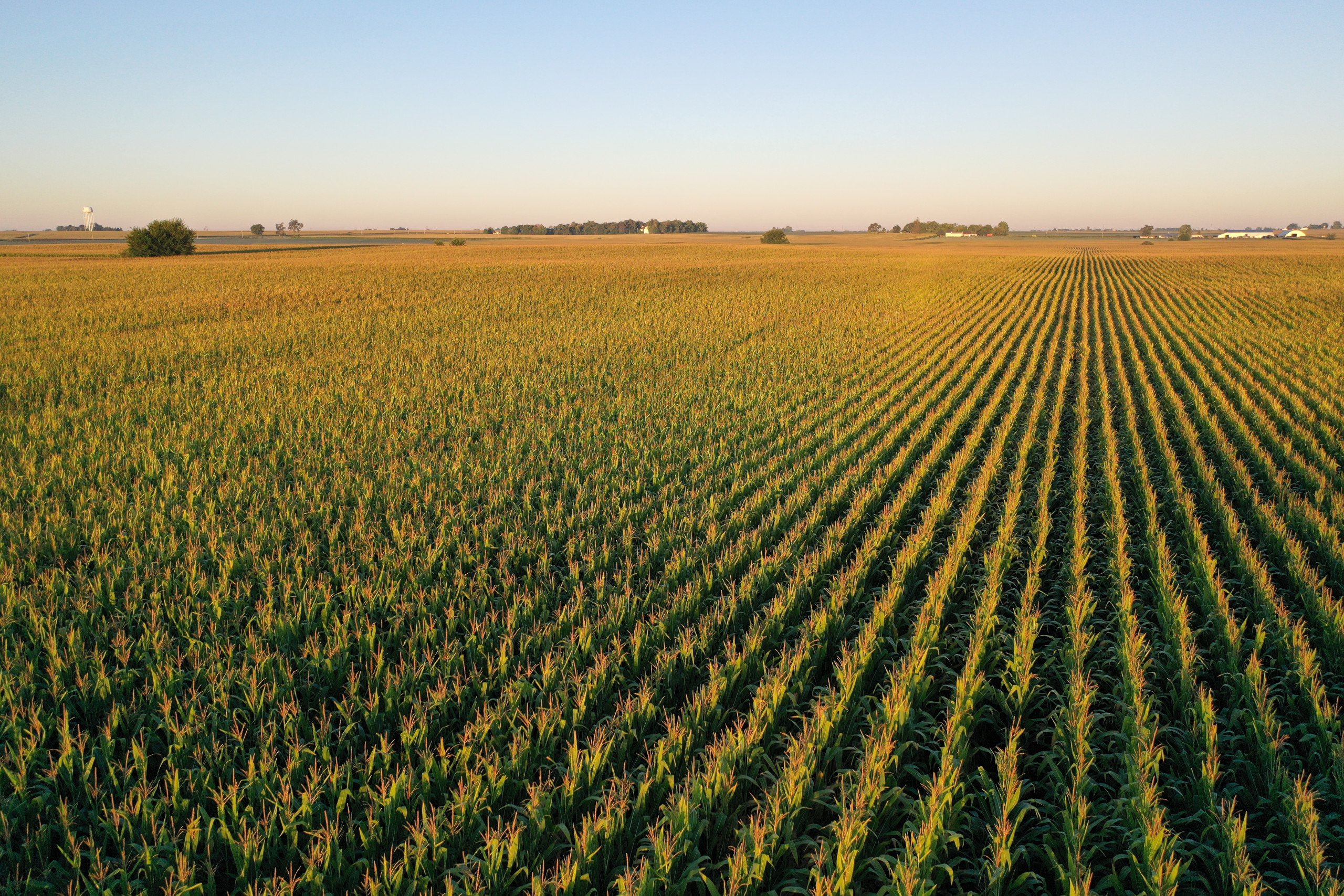 Polk County Iowa Farmland For Sale