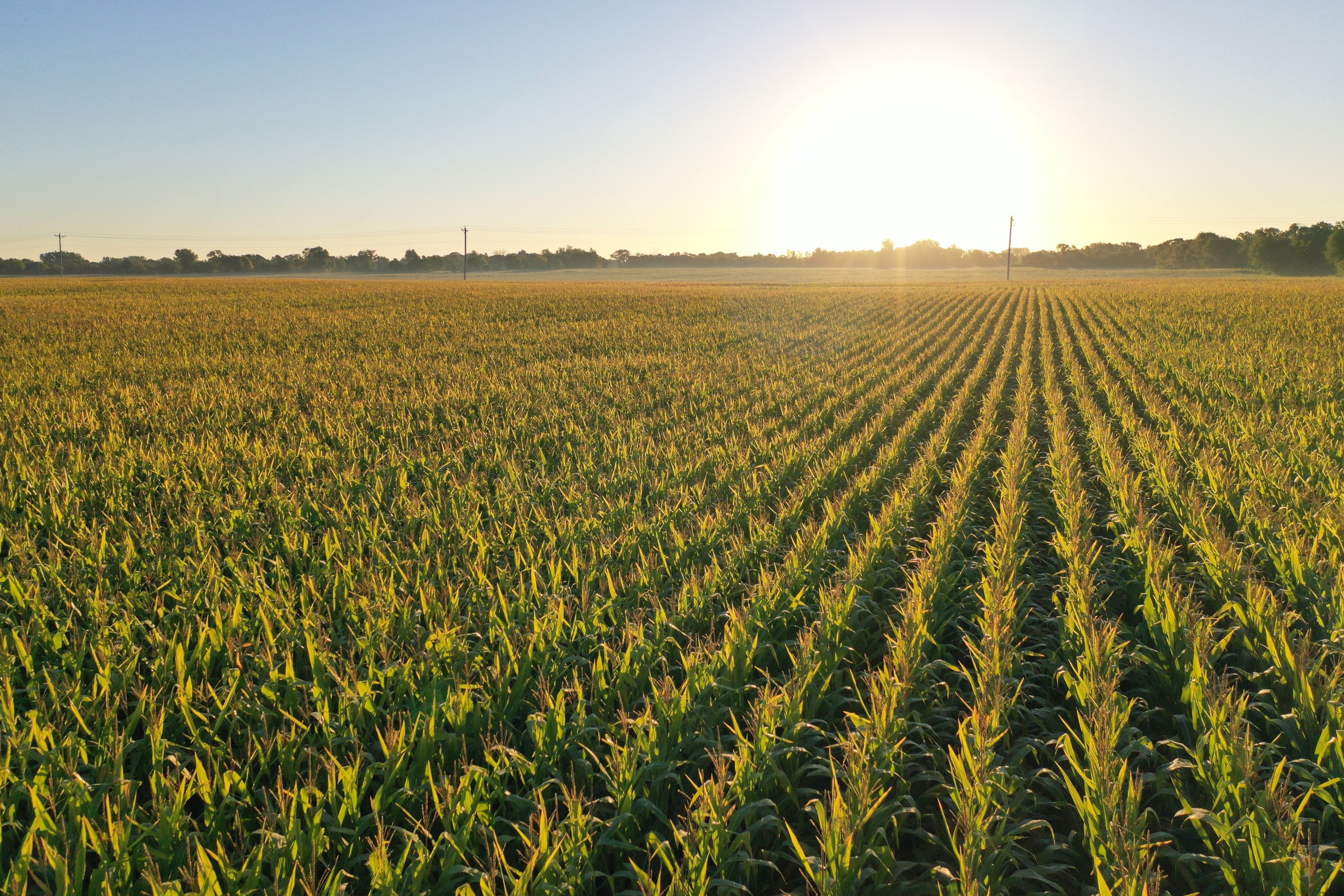 Polk County Iowa Farmland For Sale