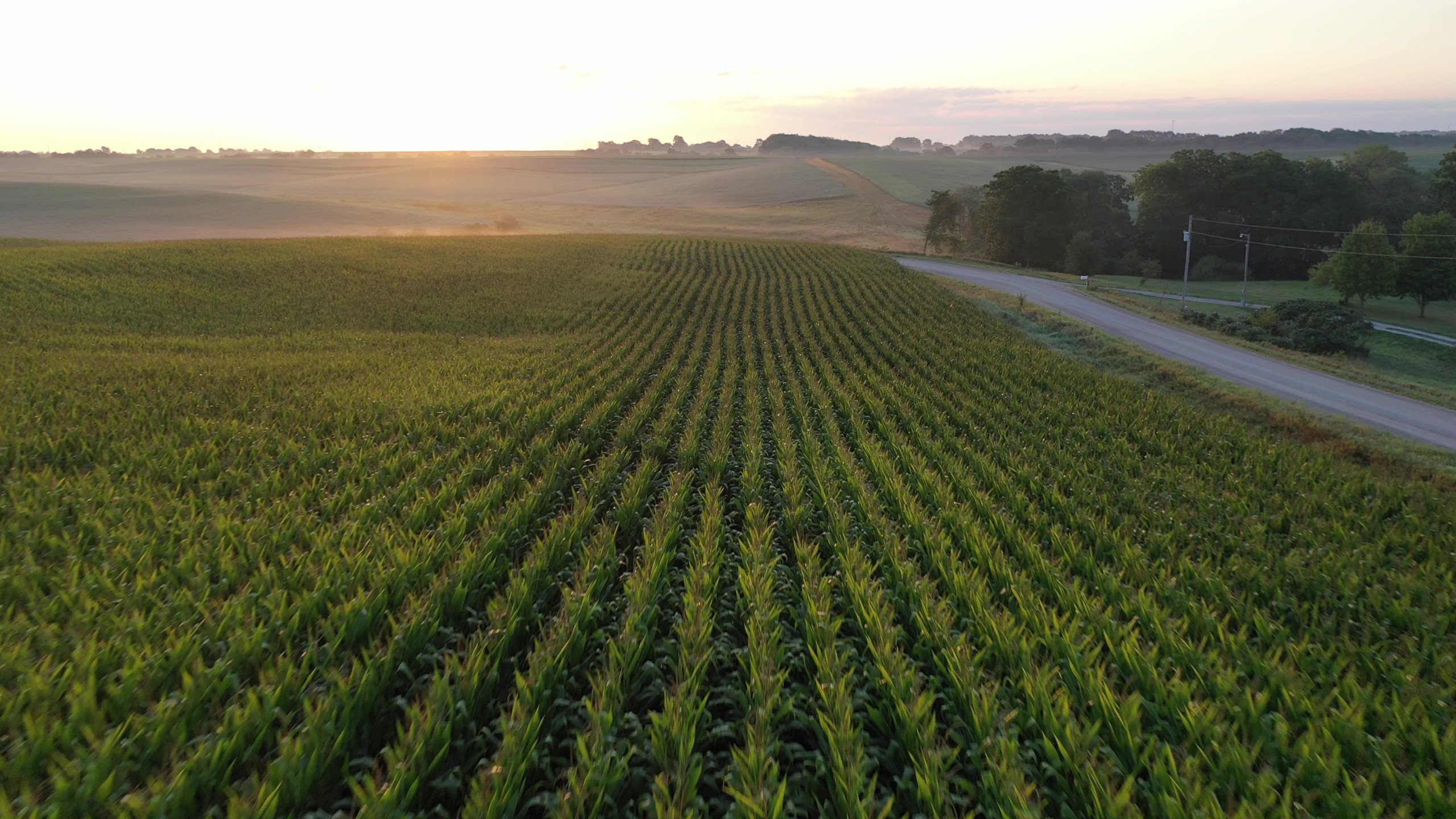 Marion County, Iowa Farmland For Sale