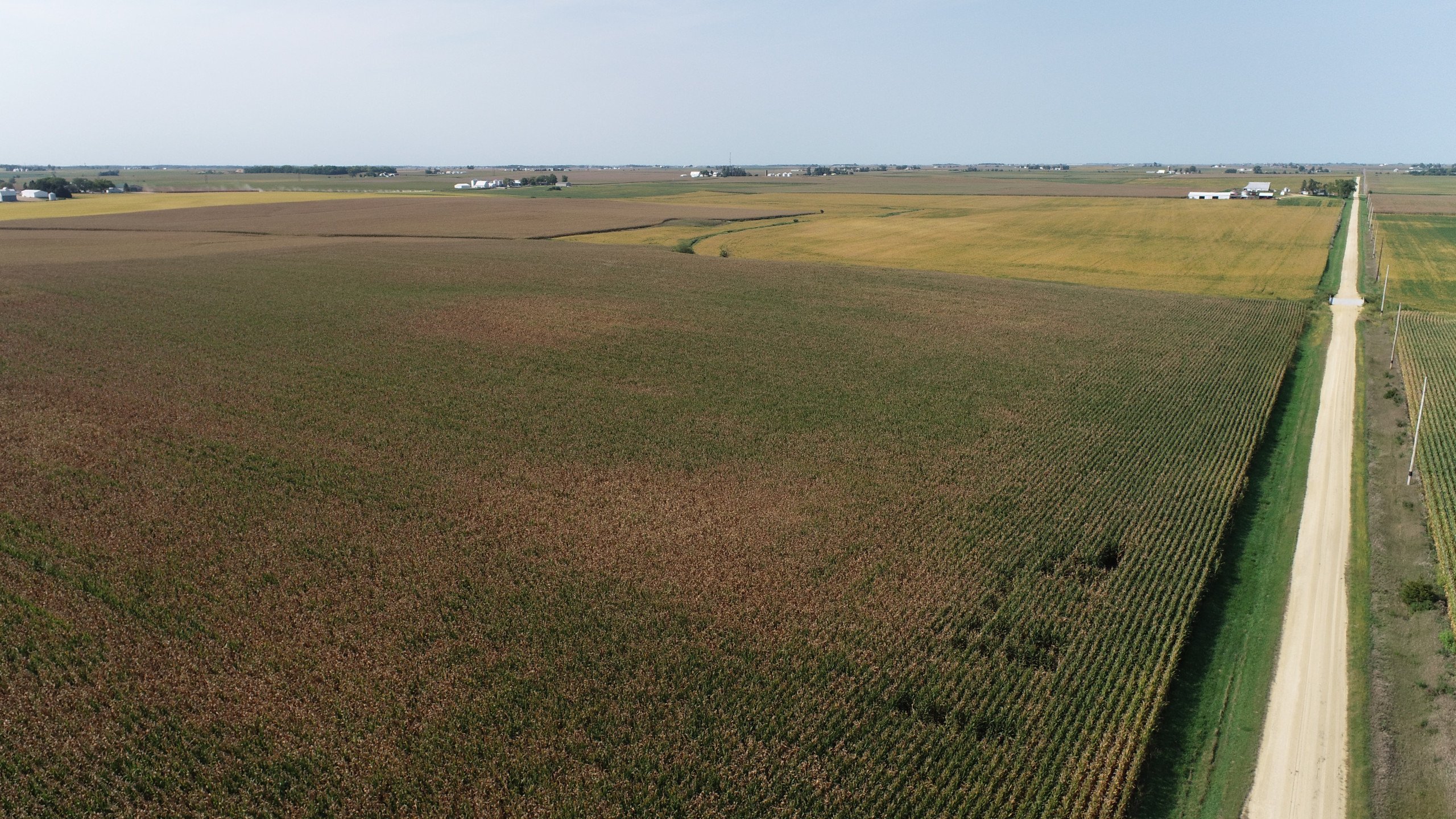 auctions-land-clinton-county-iowa-440-acres-listing-number-16396-DJI_0378-0.jpg