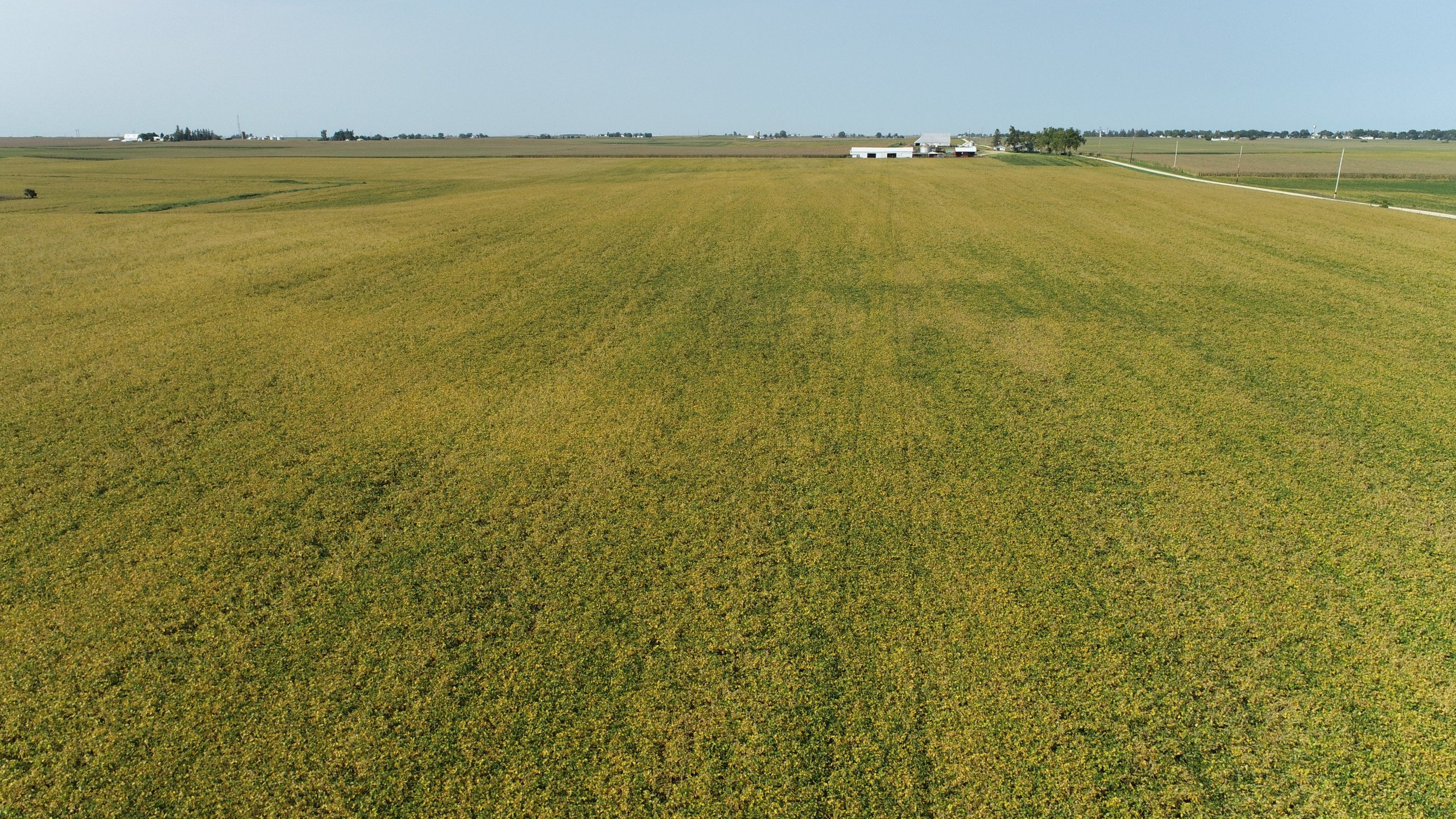 auctions-land-clinton-county-iowa-440-acres-listing-number-16396-DJI_0396-0.jpg