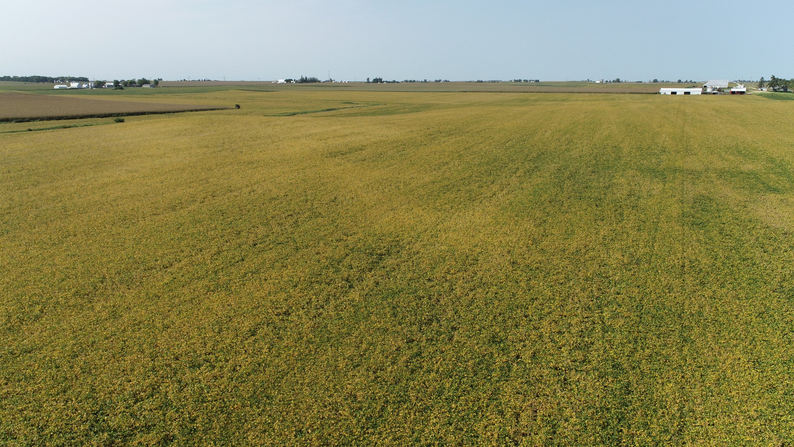 auctions-land-clinton-county-iowa-440-acres-listing-number-16396-DJI_0397-0.jpg