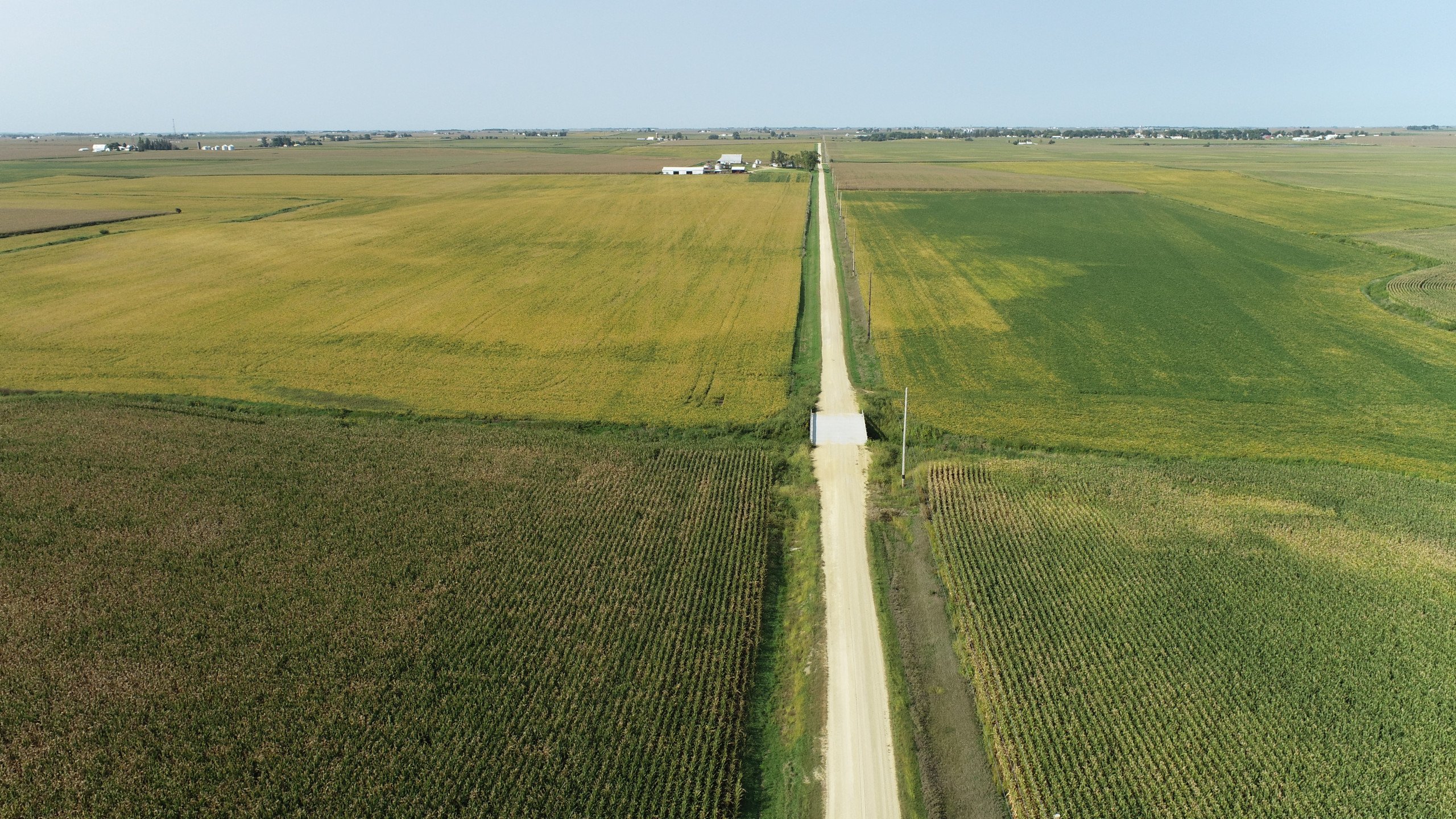 auctions-land-clinton-county-iowa-440-acres-listing-number-16396-DJI_0400-0.jpg
