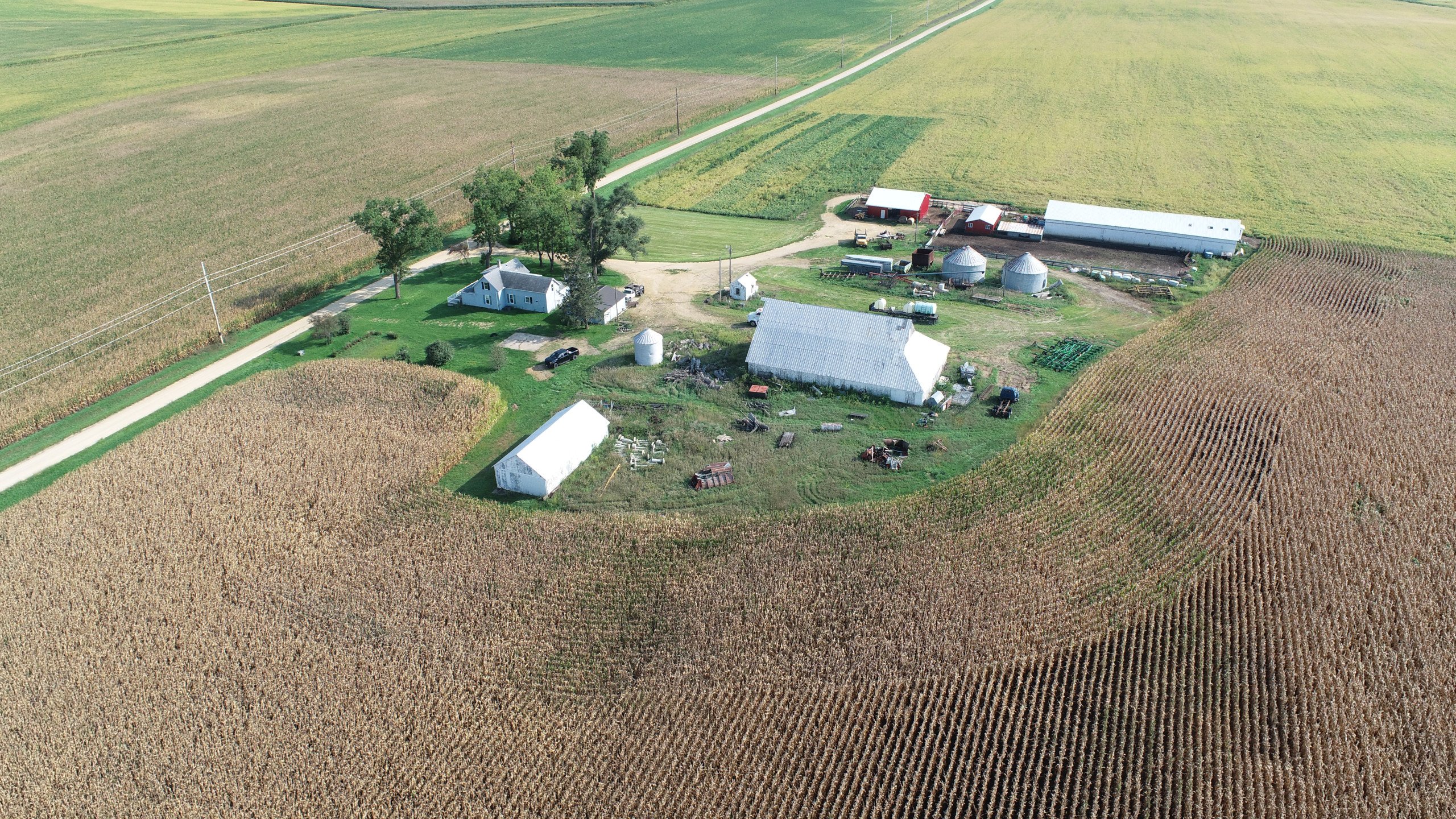 auctions-land-clinton-county-iowa-440-acres-listing-number-16396-DJI_0410-0.jpg