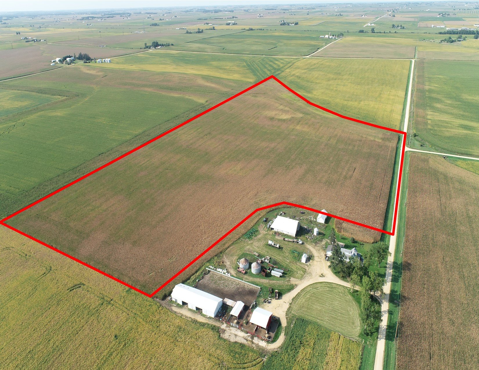 auctions-land-clinton-county-iowa-440-acres-listing-number-16396-Meints 53 Acres Clinton Co-0.jpg