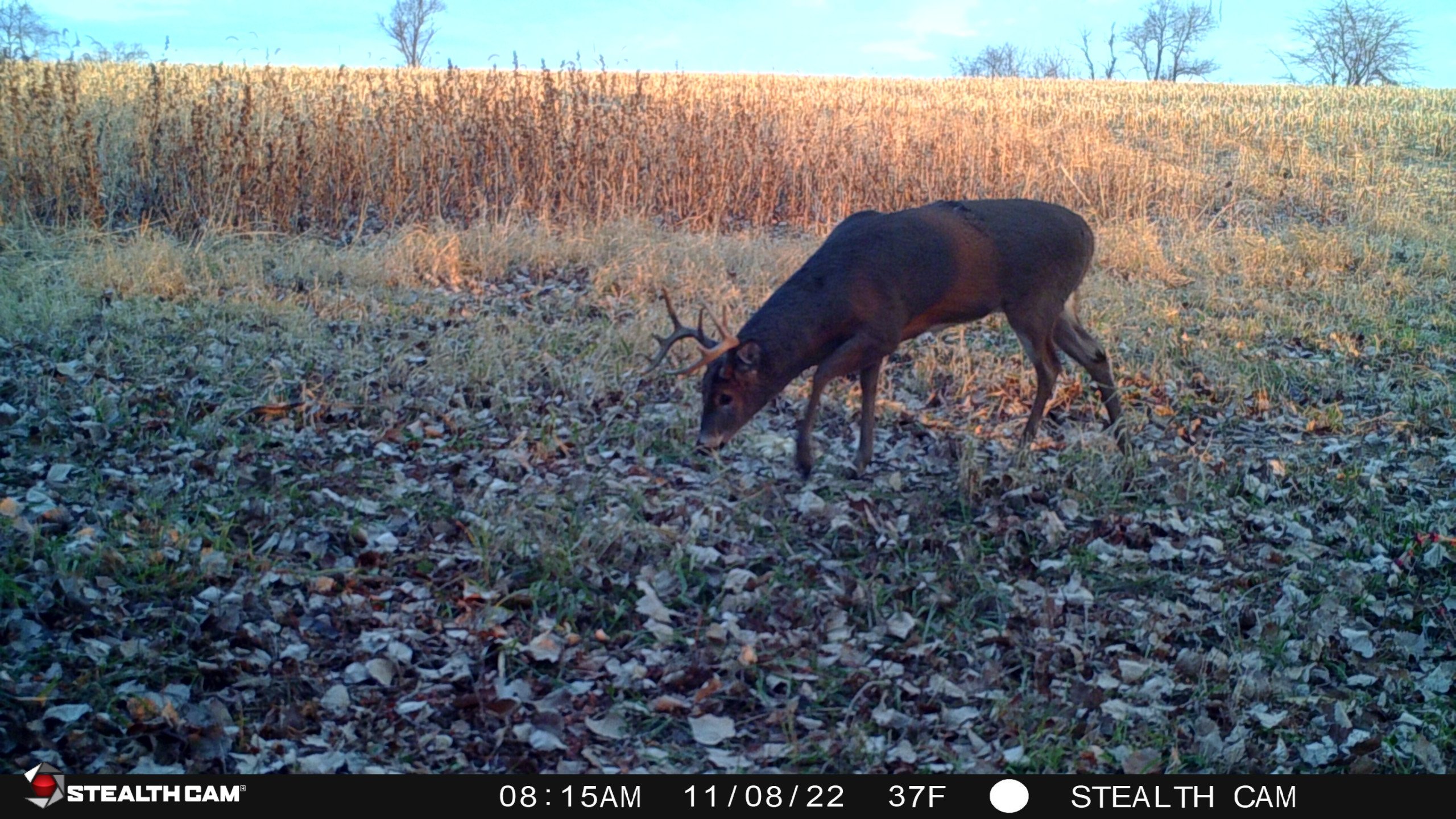 Marion County Iowa Farmland For Sale