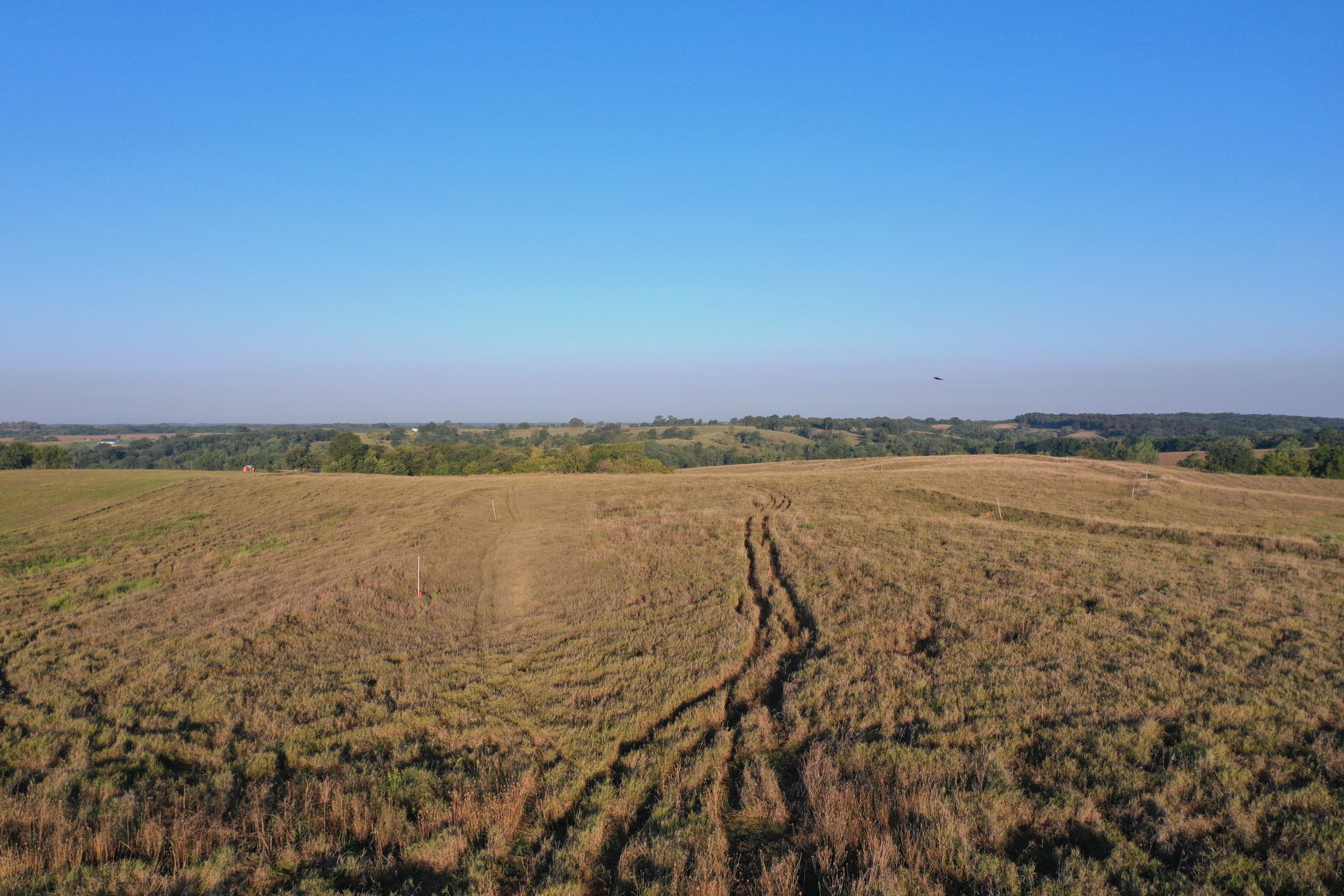 auctions-land-decatur-county-iowa-171-acres-listing-number-16405-DJI_0783-0.jpg