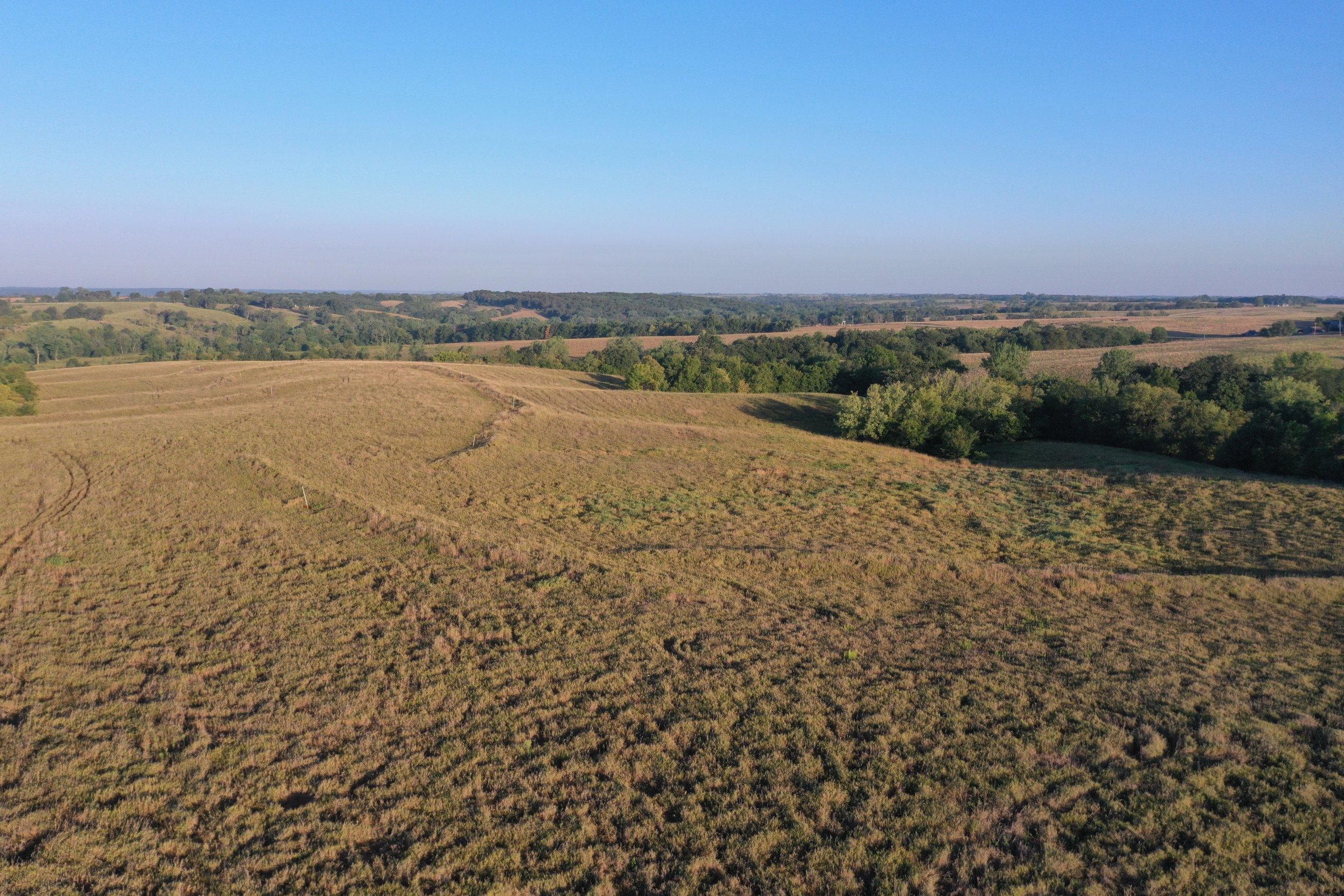 auctions-land-decatur-county-iowa-171-acres-listing-number-16405-DJI_0785-2.jpg