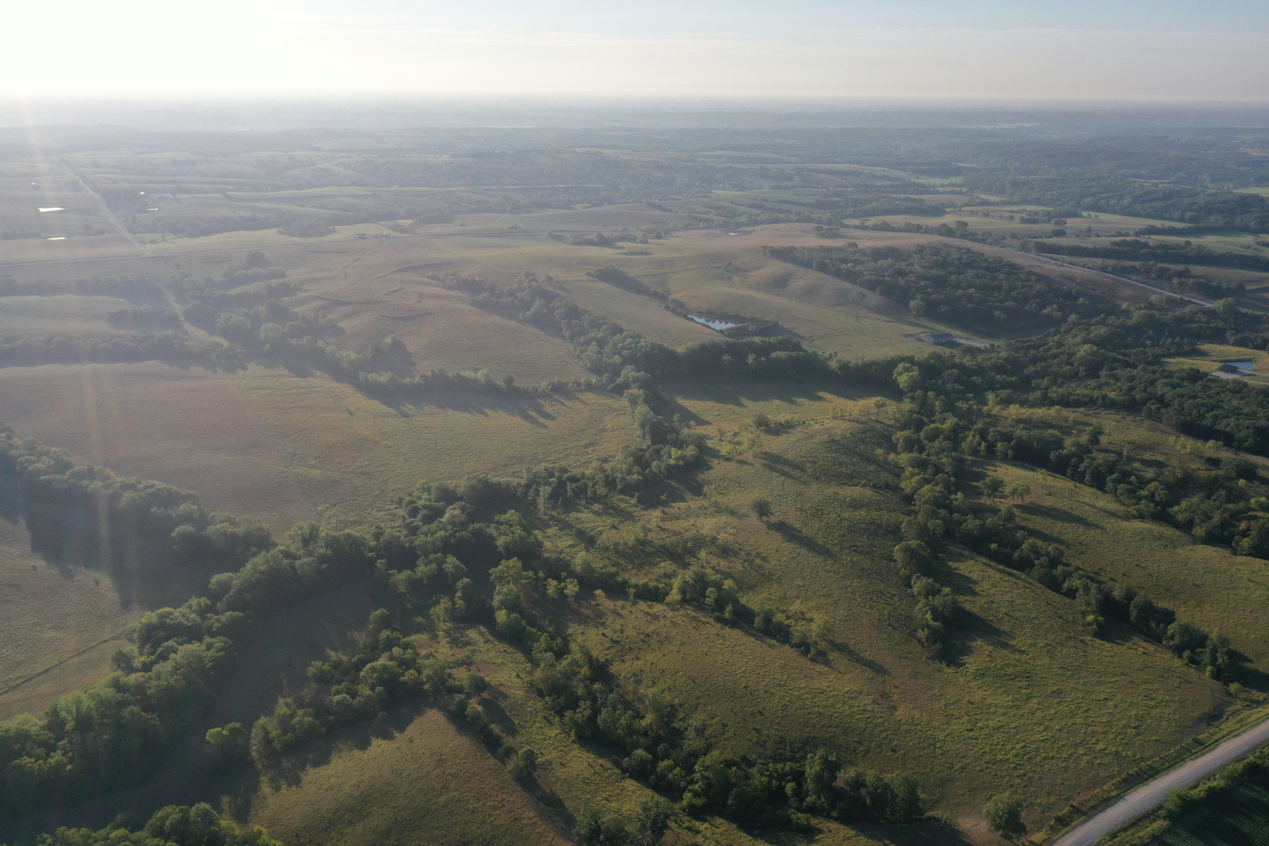 auctions-land-decatur-county-iowa-171-acres-listing-number-16405-DJI_0808-2.jpg