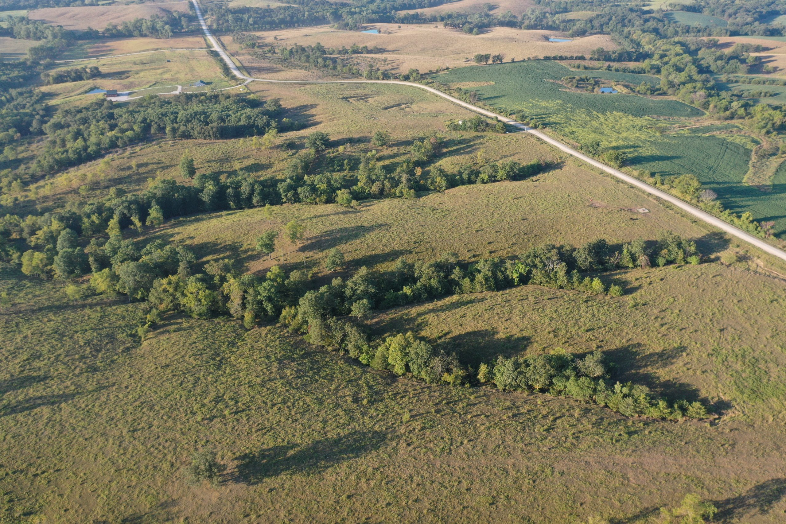 auctions-land-decatur-county-iowa-171-acres-listing-number-16405-DJI_0815-3.jpg