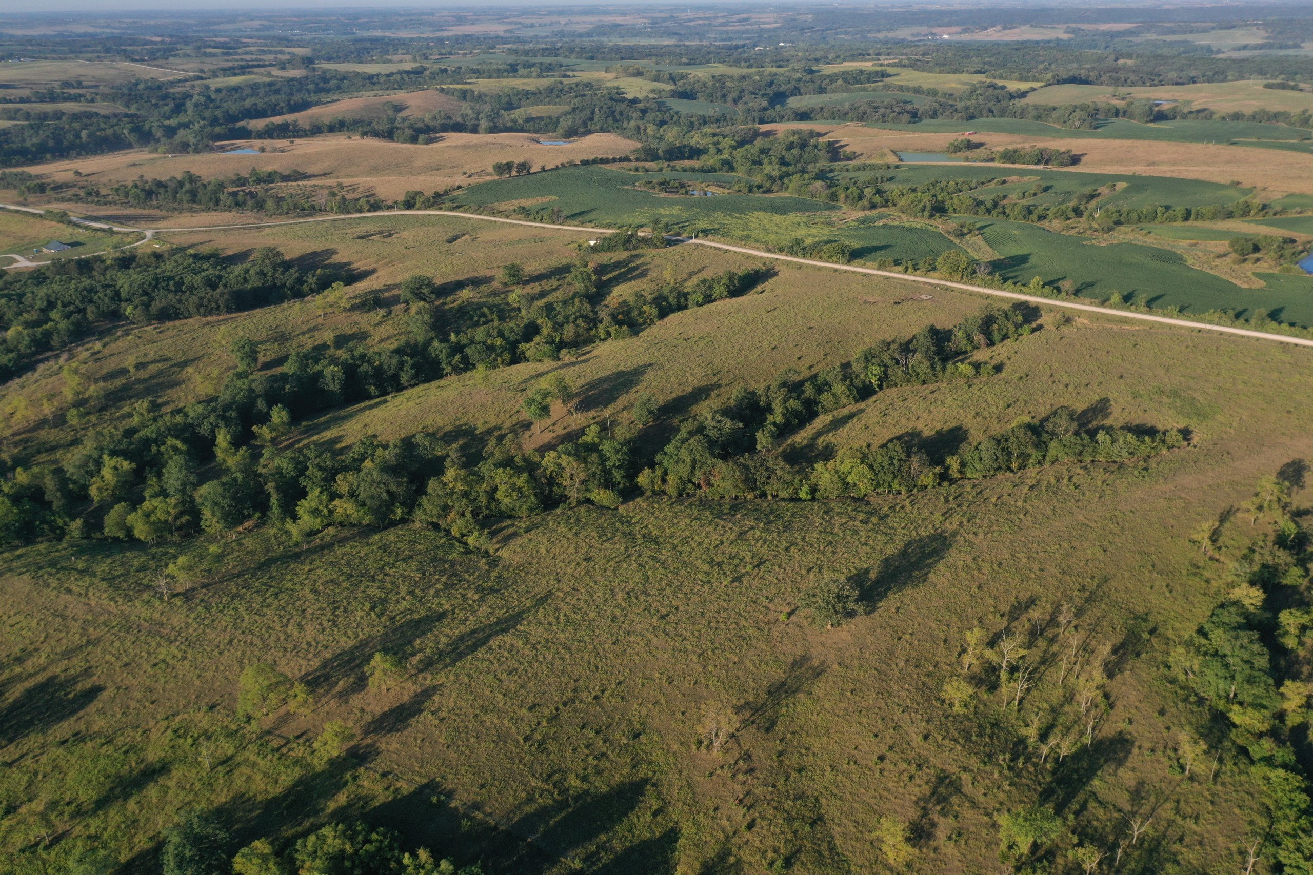 auctions-land-decatur-county-iowa-171-acres-listing-number-16405-DJI_0816-4.jpg