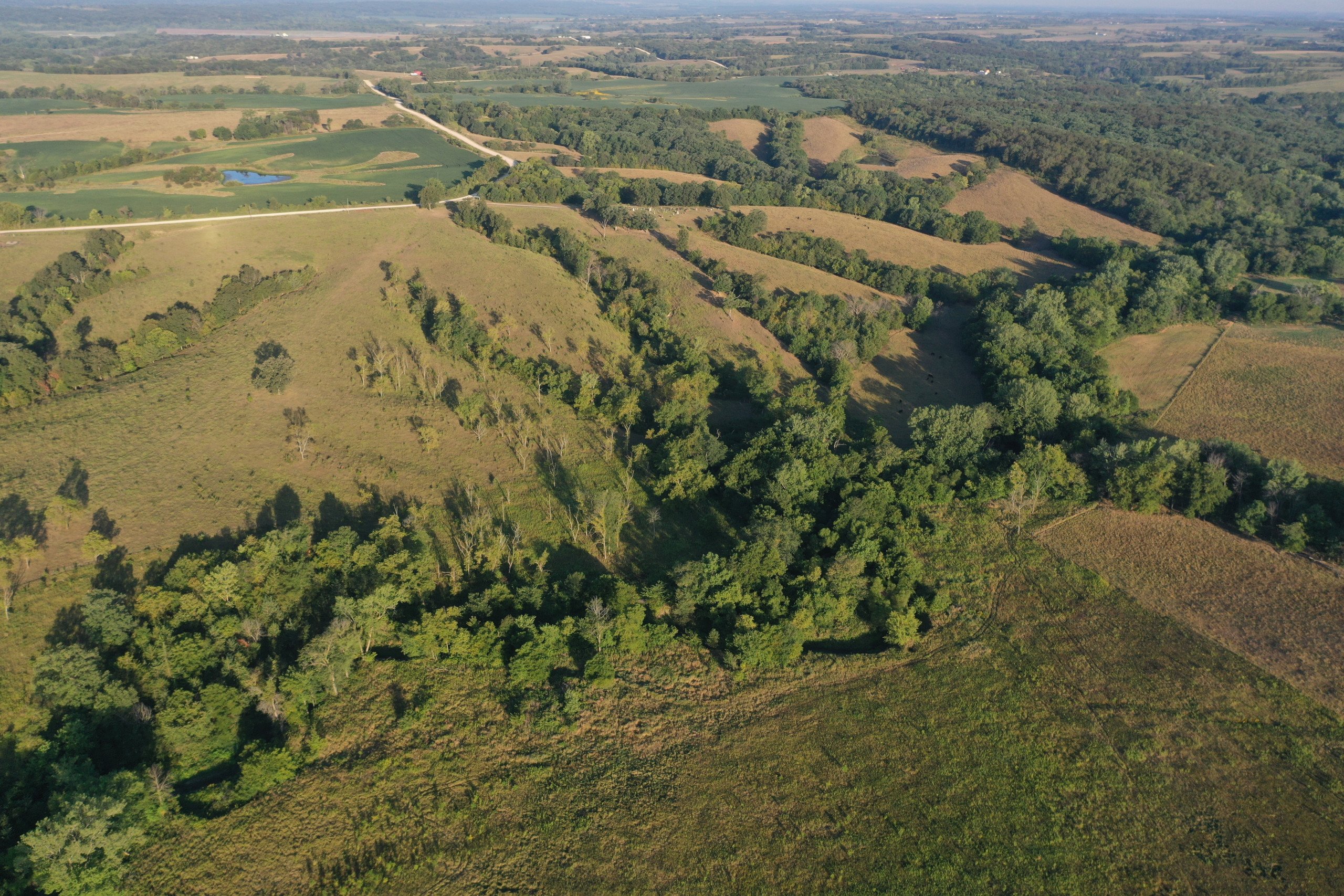 auctions-land-decatur-county-iowa-171-acres-listing-number-16405-DJI_0819-1.jpg