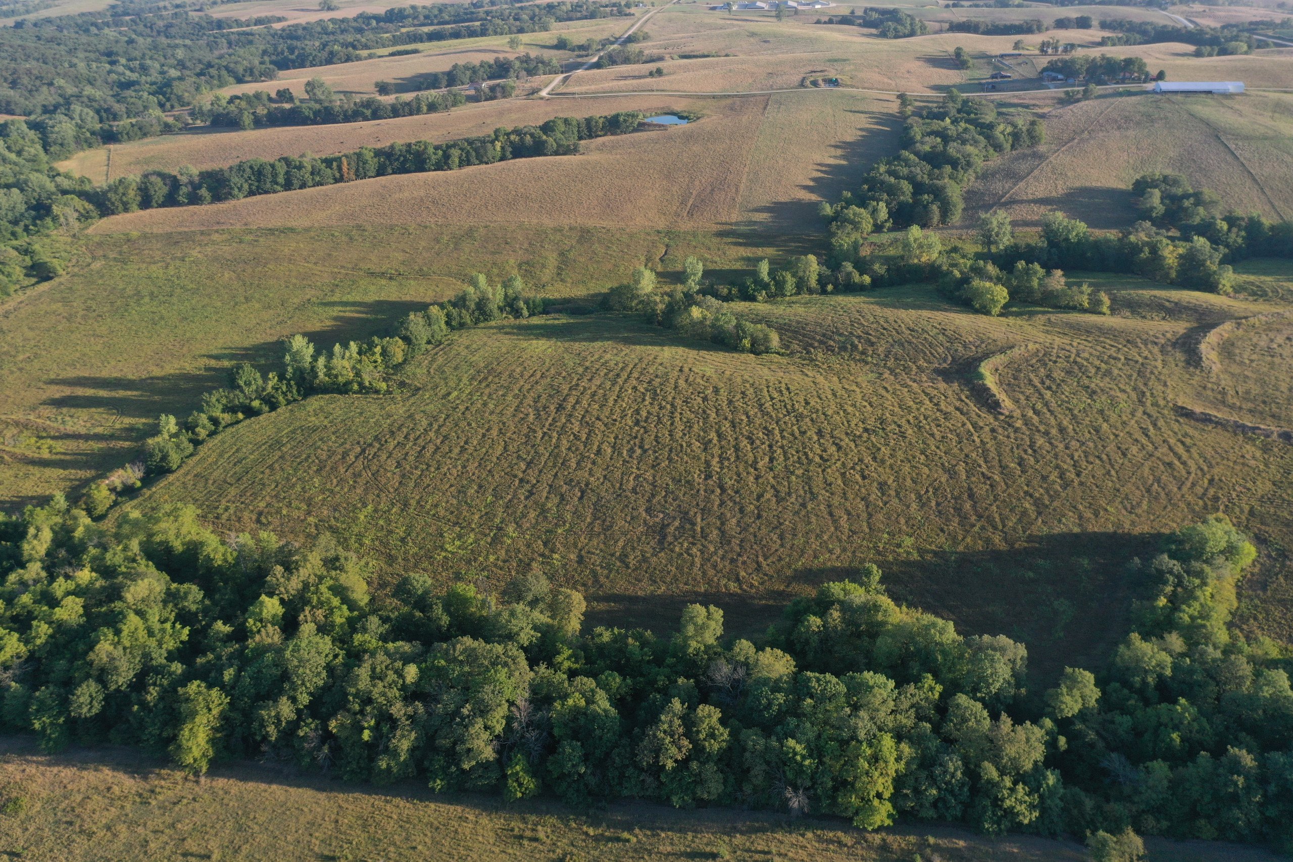 auctions-land-decatur-county-iowa-171-acres-listing-number-16405-DJI_0822-4.jpg