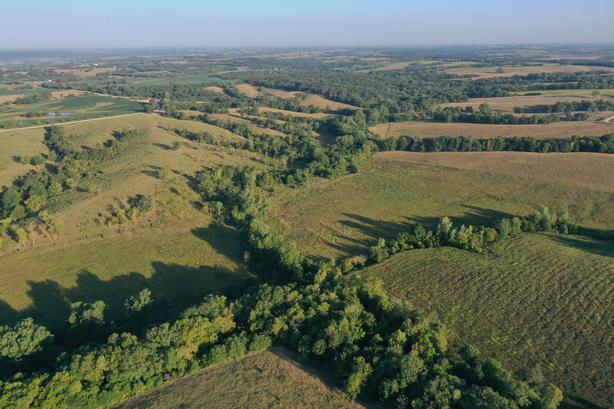 auctions-land-decatur-county-iowa-171-acres-listing-number-16405-DJI_0824-0.jpg