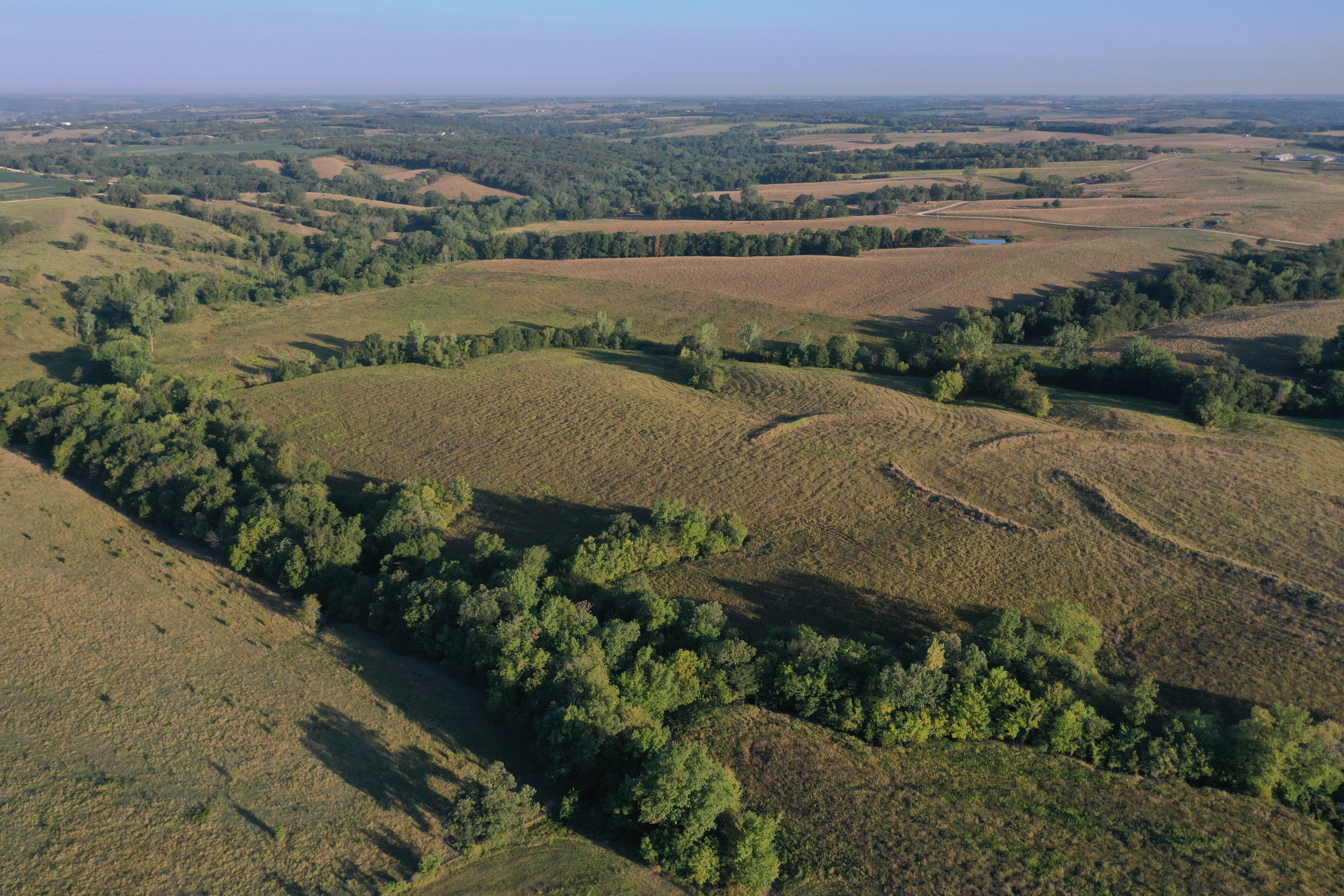auctions-land-decatur-county-iowa-171-acres-listing-number-16405-DJI_0828-2.jpg