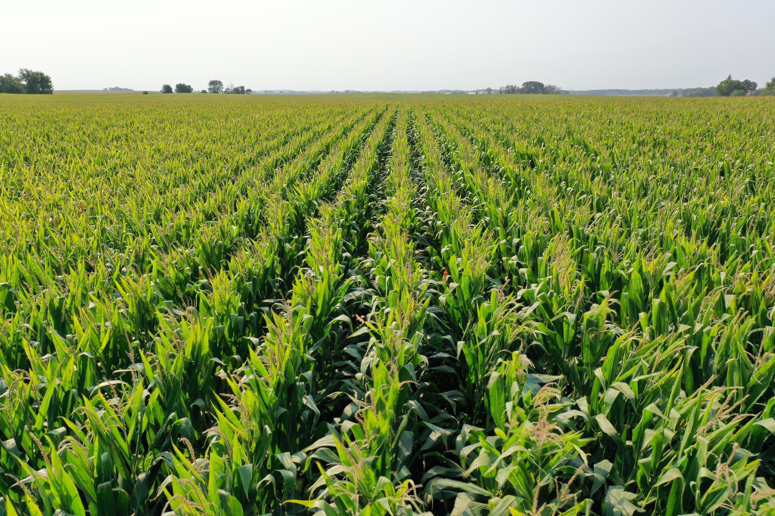 Butler County, Iowa Farmland For Sale