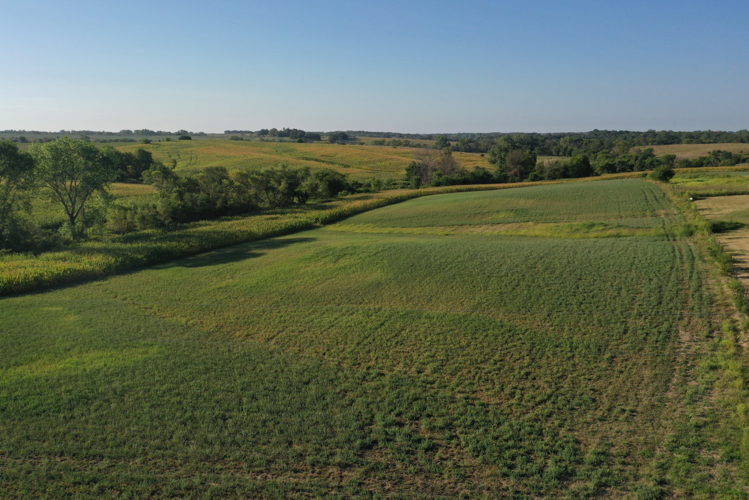 land-decatur-county-iowa-81-acres-listing-number-16419-DJI_0847-0.jpg