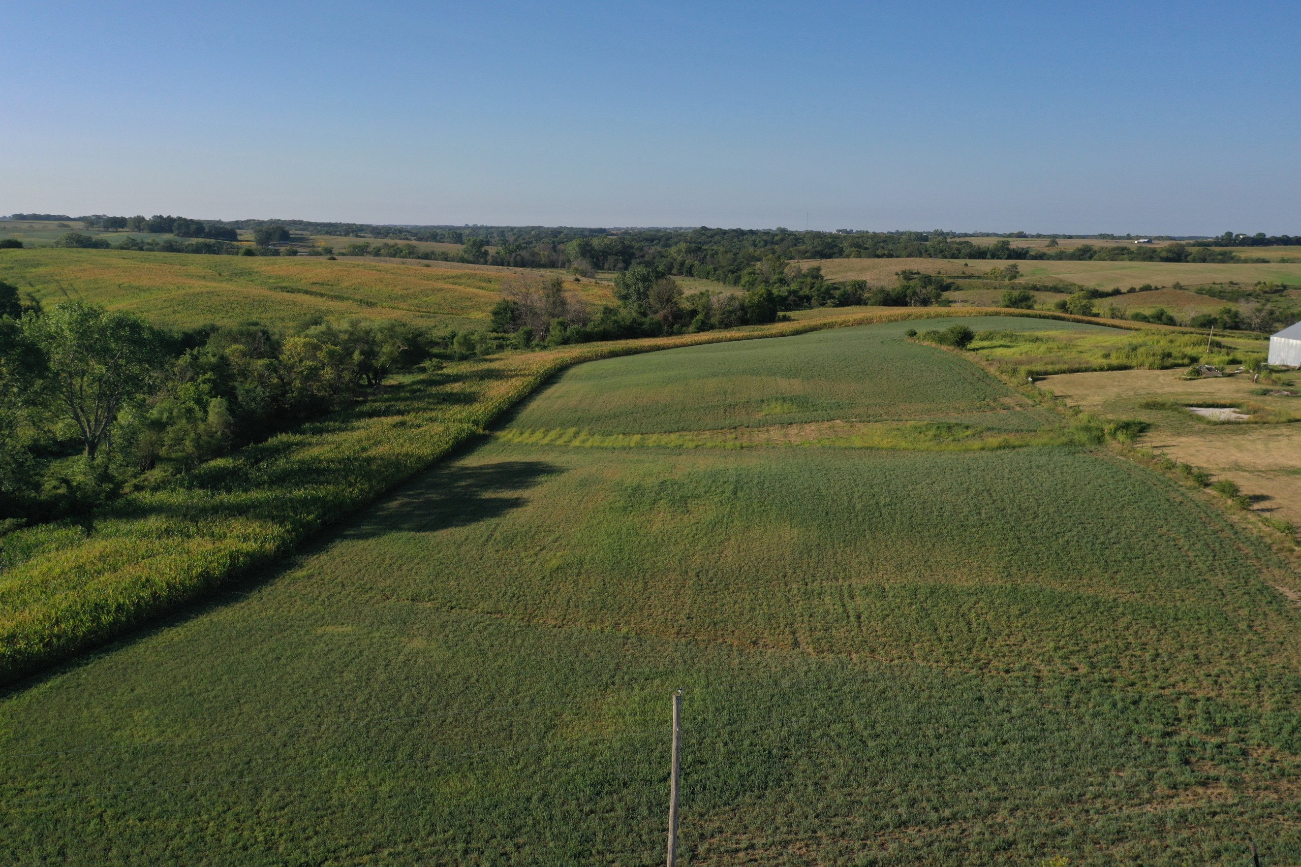 land-decatur-county-iowa-81-acres-listing-number-16419-DJI_0848-1.jpg