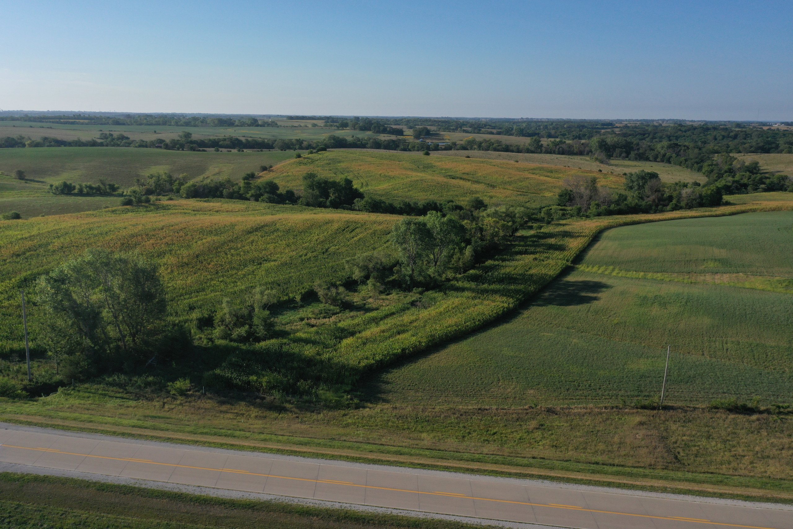 land-decatur-county-iowa-81-acres-listing-number-16419-DJI_0850-2.jpg