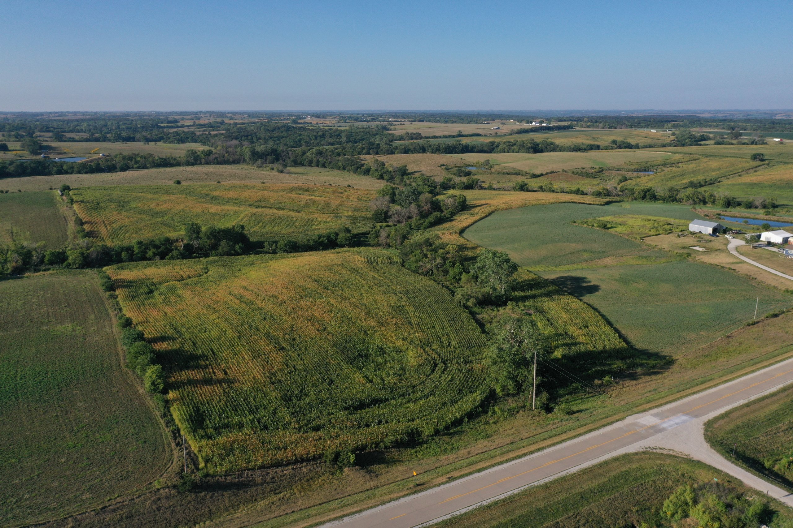 land-decatur-county-iowa-81-acres-listing-number-16419-DJI_0851-3.jpg