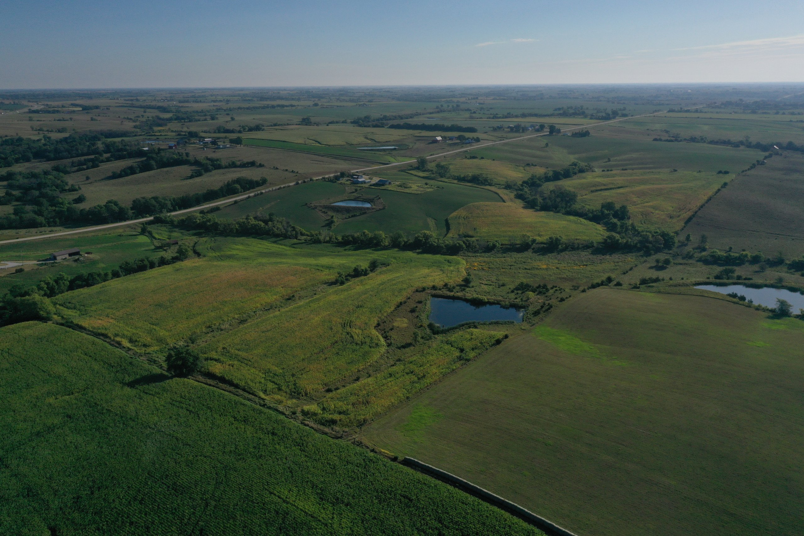 land-decatur-county-iowa-81-acres-listing-number-16419-DJI_0868-2.jpg