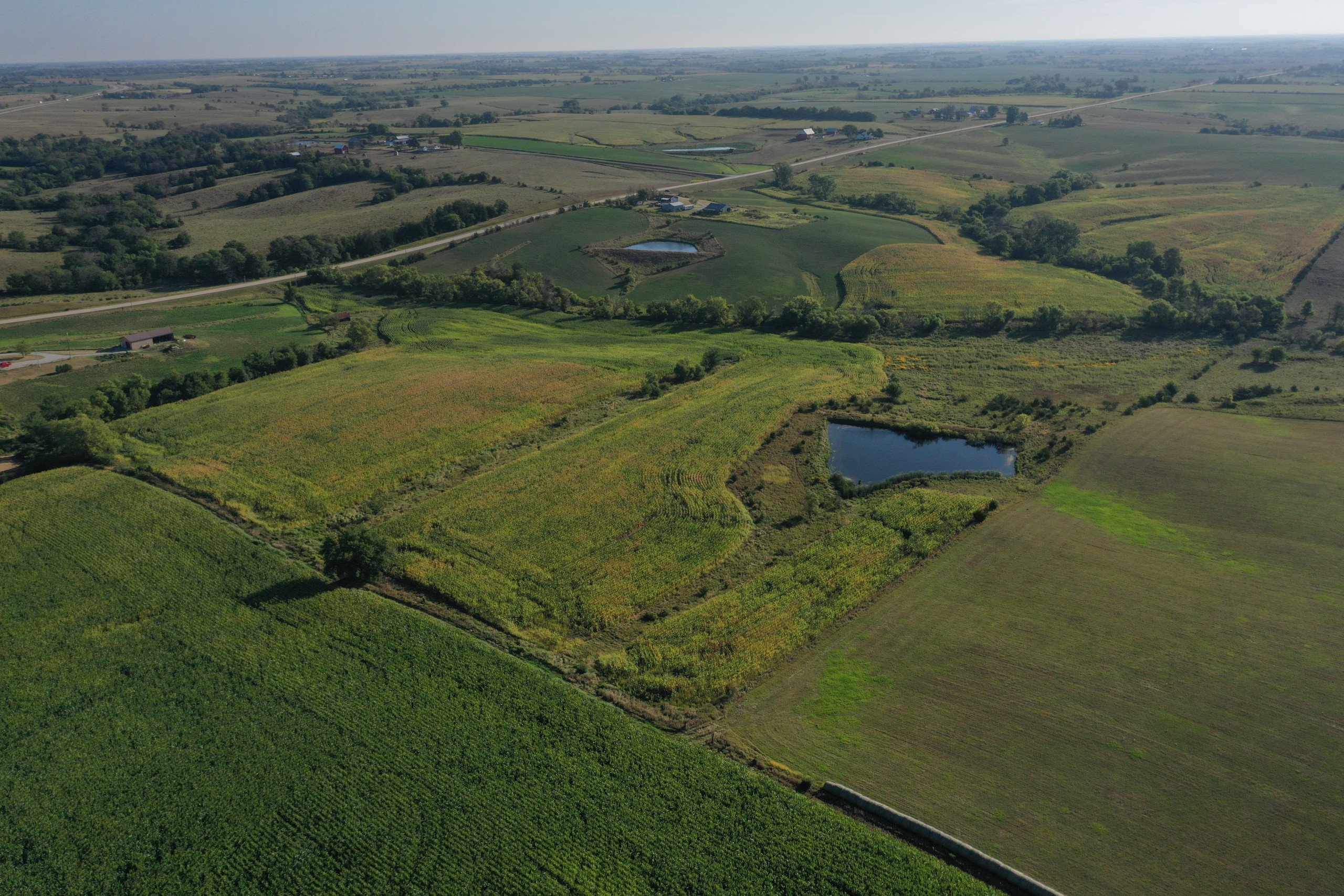 land-decatur-county-iowa-81-acres-listing-number-16419-DJI_0869-0.jpg